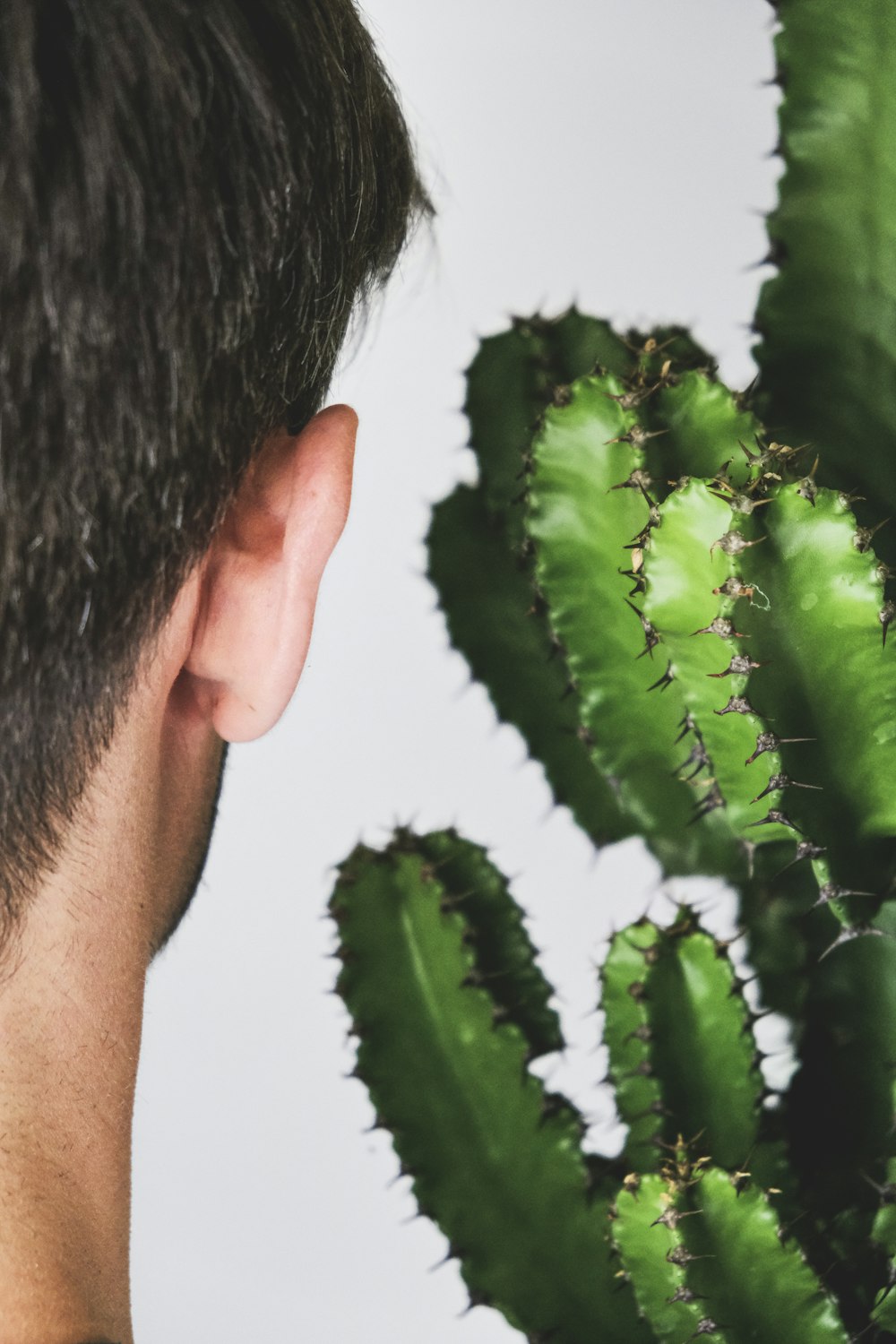 hombre con hojas verdes en la oreja