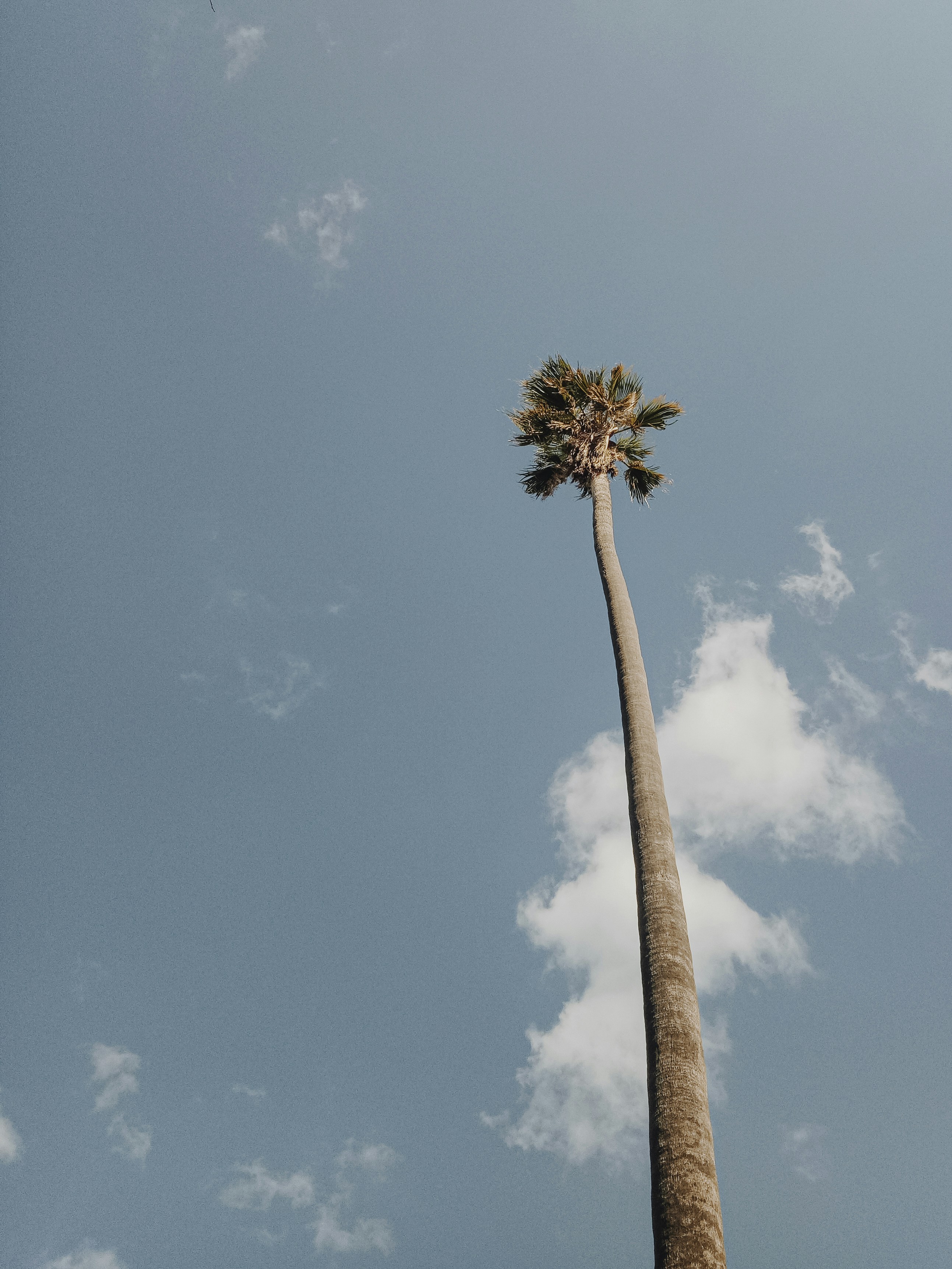 Photo by i_am_simoesse