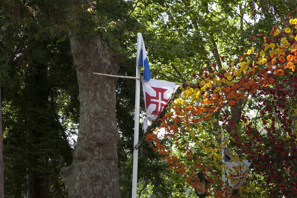 blue white and red flag on tree