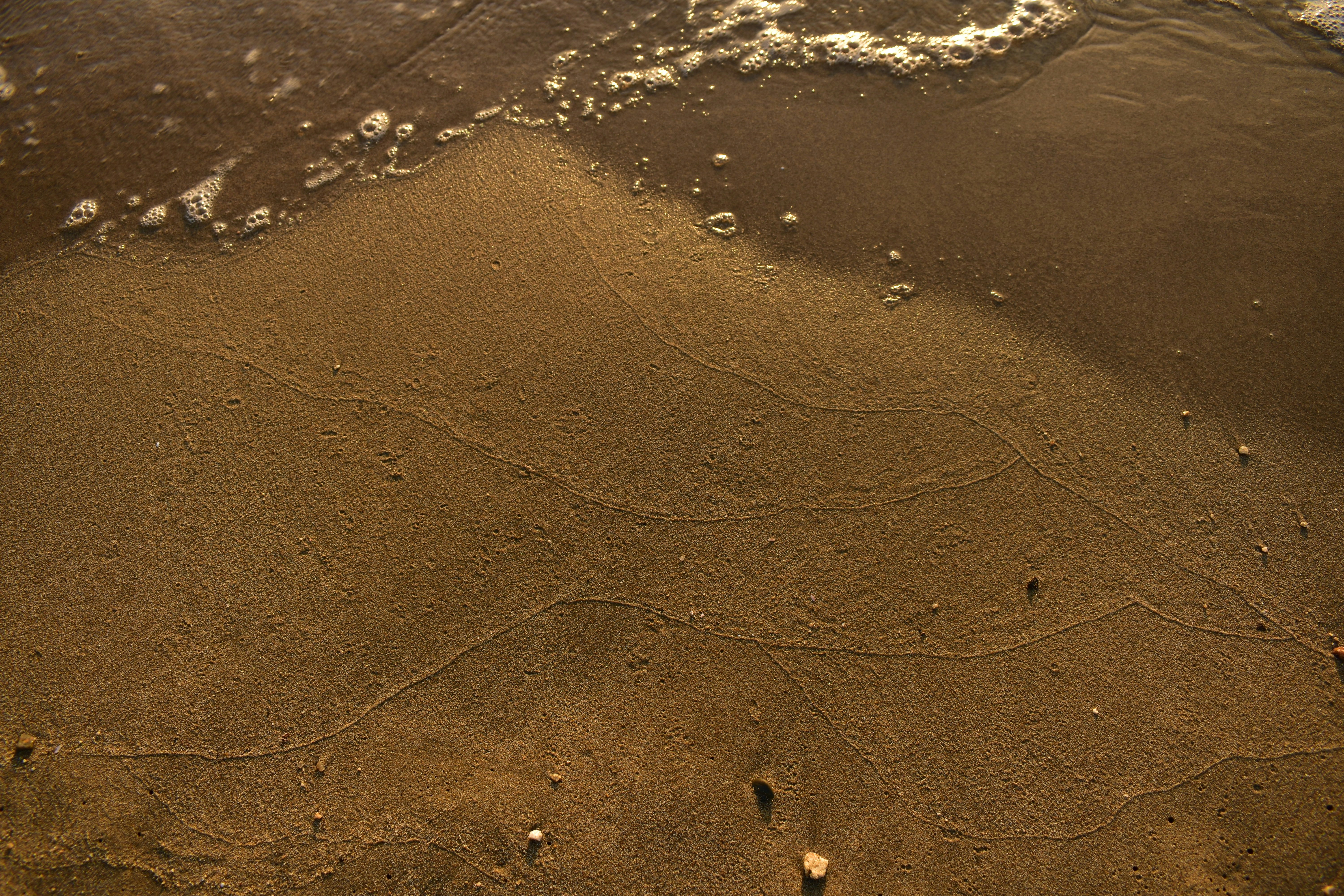 Photo by architraeveeee