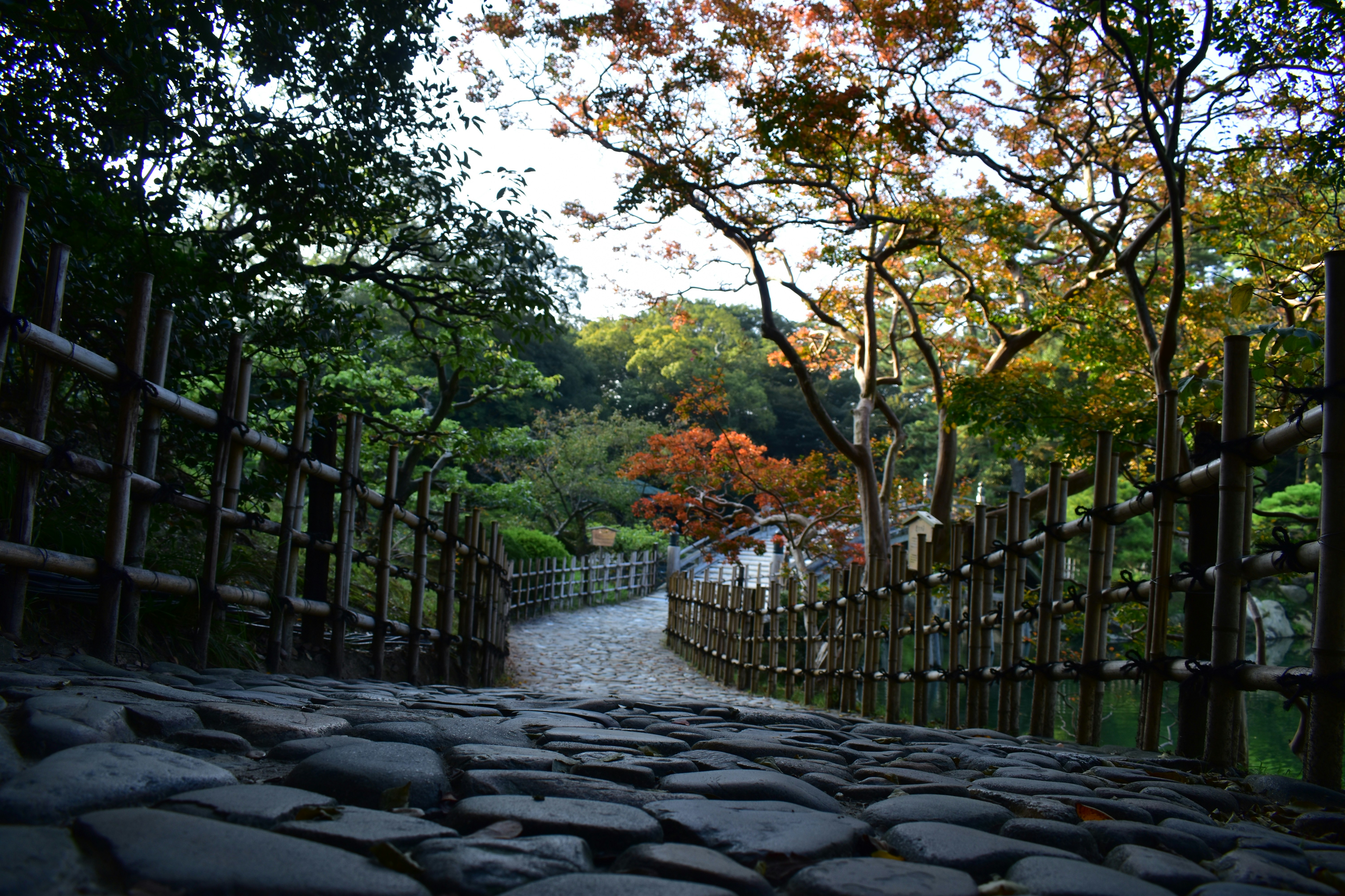 Photo by architraeveeee