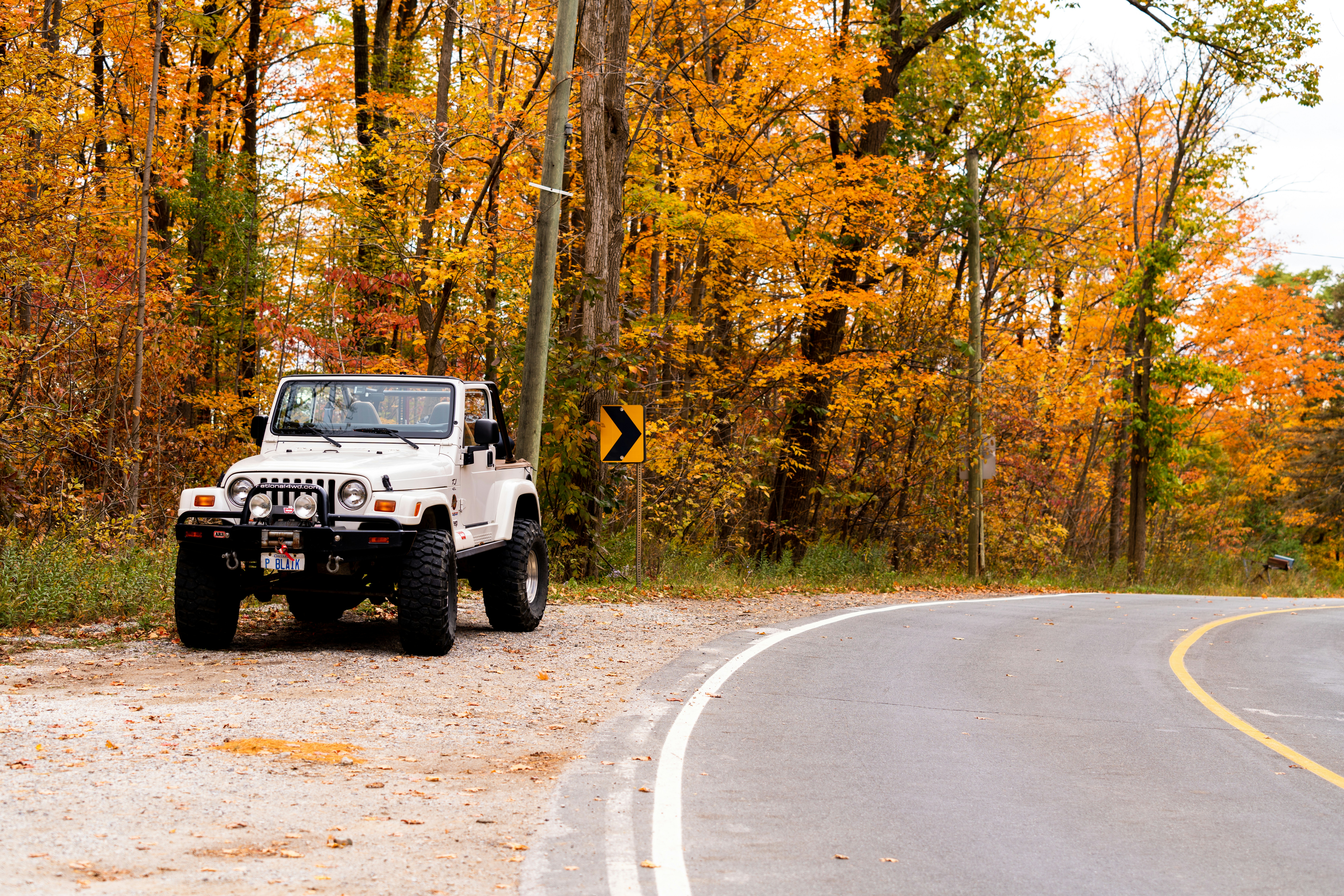 Photo by whiterainforest