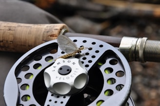 A close-up view of a fishing reel with a fly perched on it. The reel displays intricate circular patterns and is attached to a rod with a cork handle. The environment appears to be outdoors, with a blurred background.