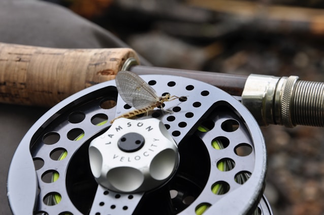 A close-up view of a fishing reel with a fly perched on it. The reel displays intricate circular patterns and is attached to a rod with a cork handle. The environment appears to be outdoors, with a blurred background.