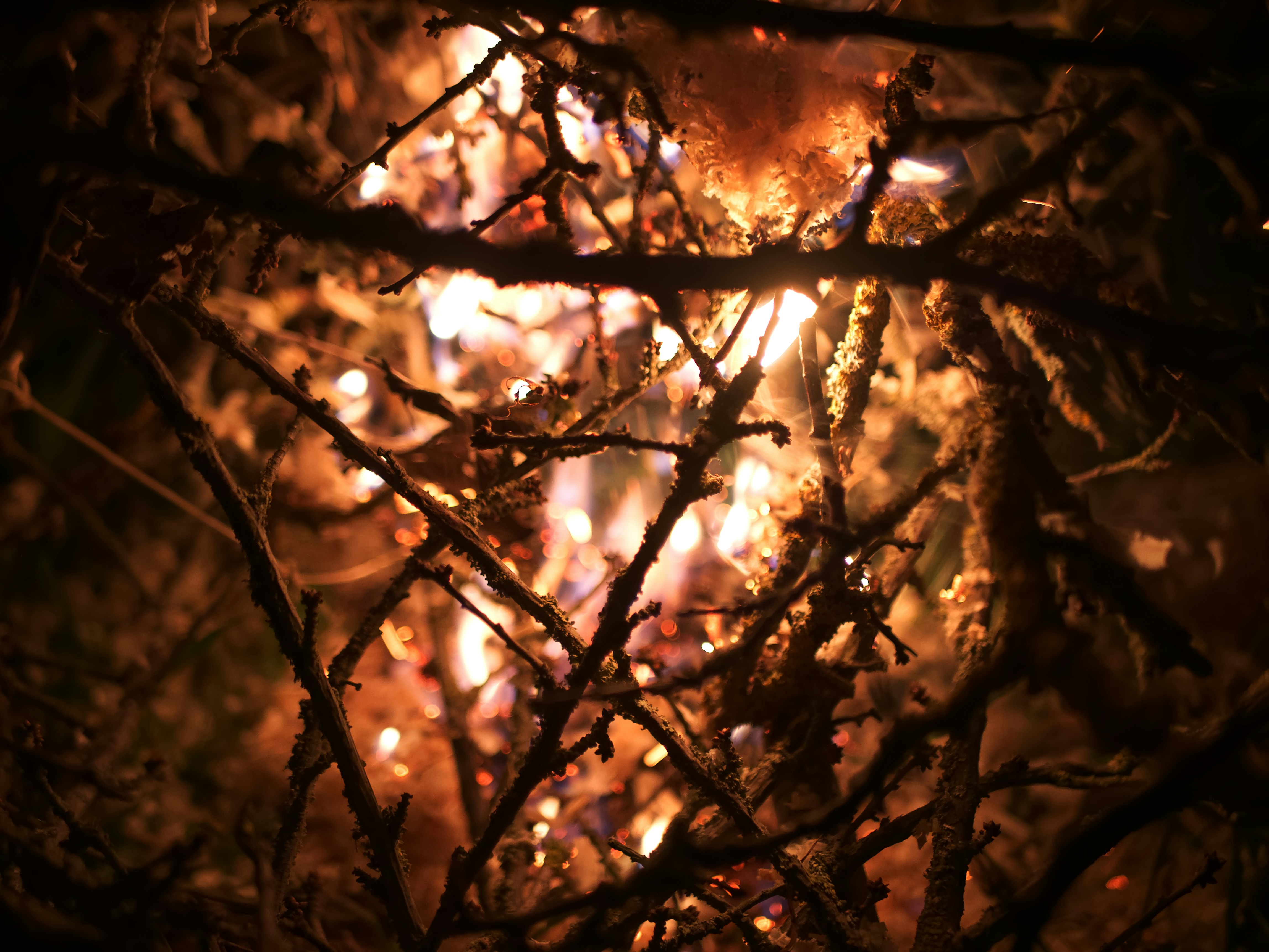 Photo by cameravince