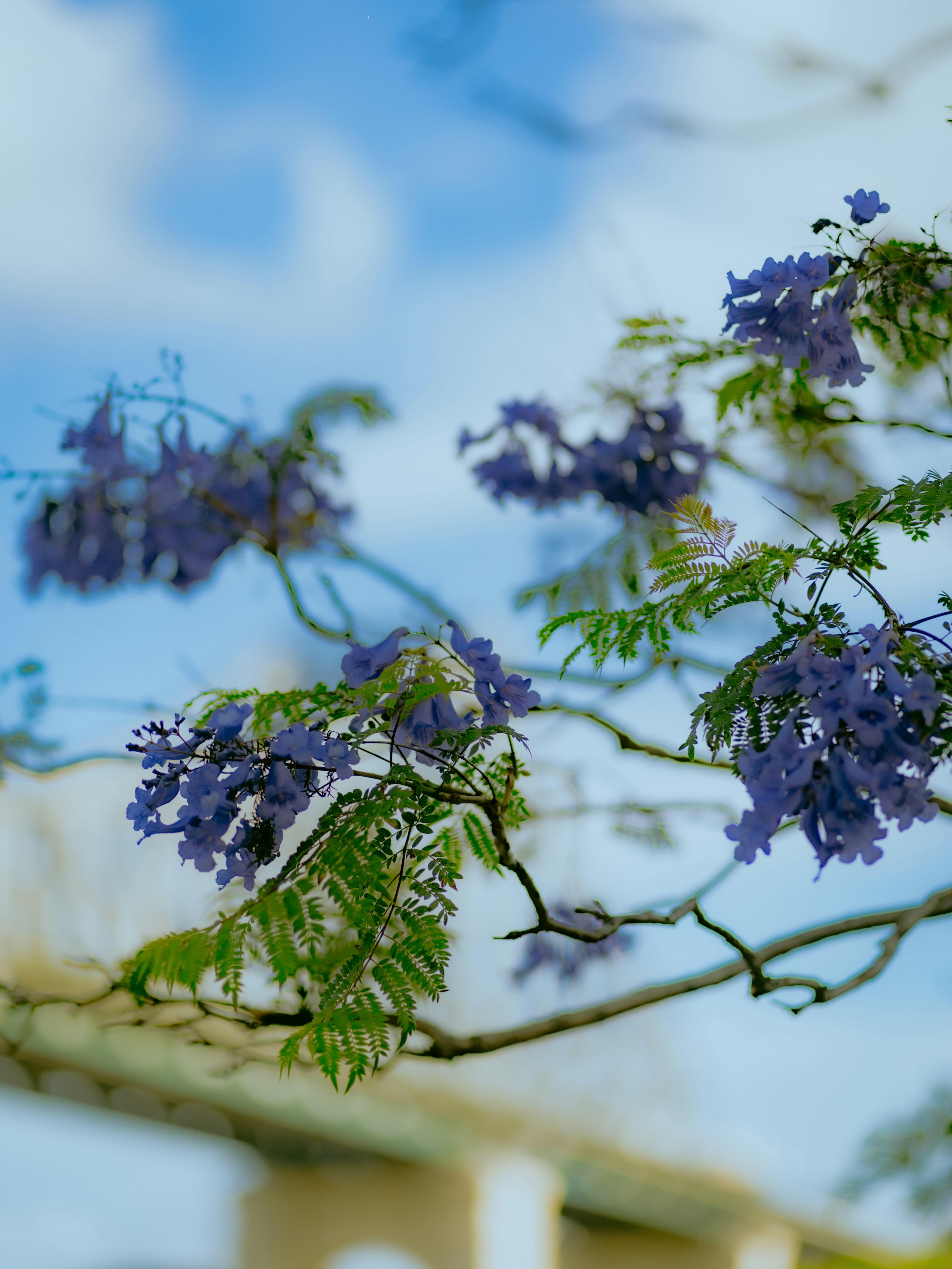 Photo by darshan394