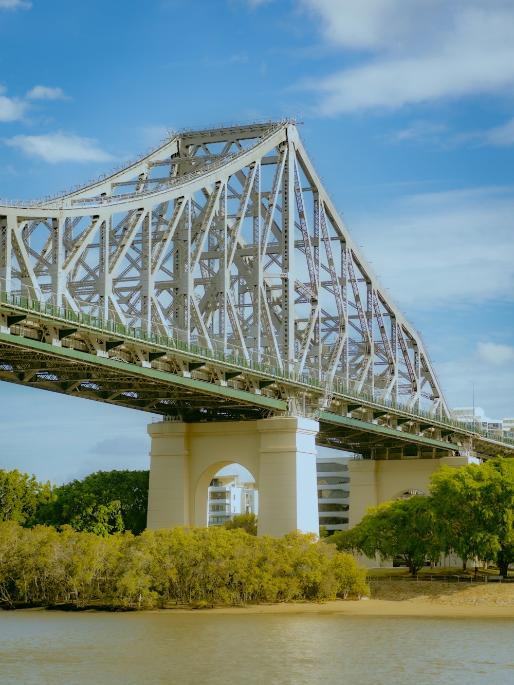 white metal bridge over green trees during daytime