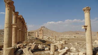 Three Centuries of Brilliance: The Complete History of the Seleucid Empire