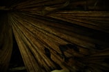 A close-up of a large dried palm leaf with intricate, parallel fold lines stretching across the image. The leaf has a brown, earthy tone with subtle hints of green. In the foreground, there are small, scattered dark leaves and twigs lying on top, adding texture and depth.