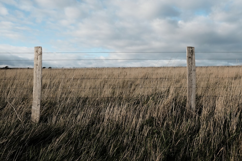 brown wooden post on brown grass field under white clouds during daytime