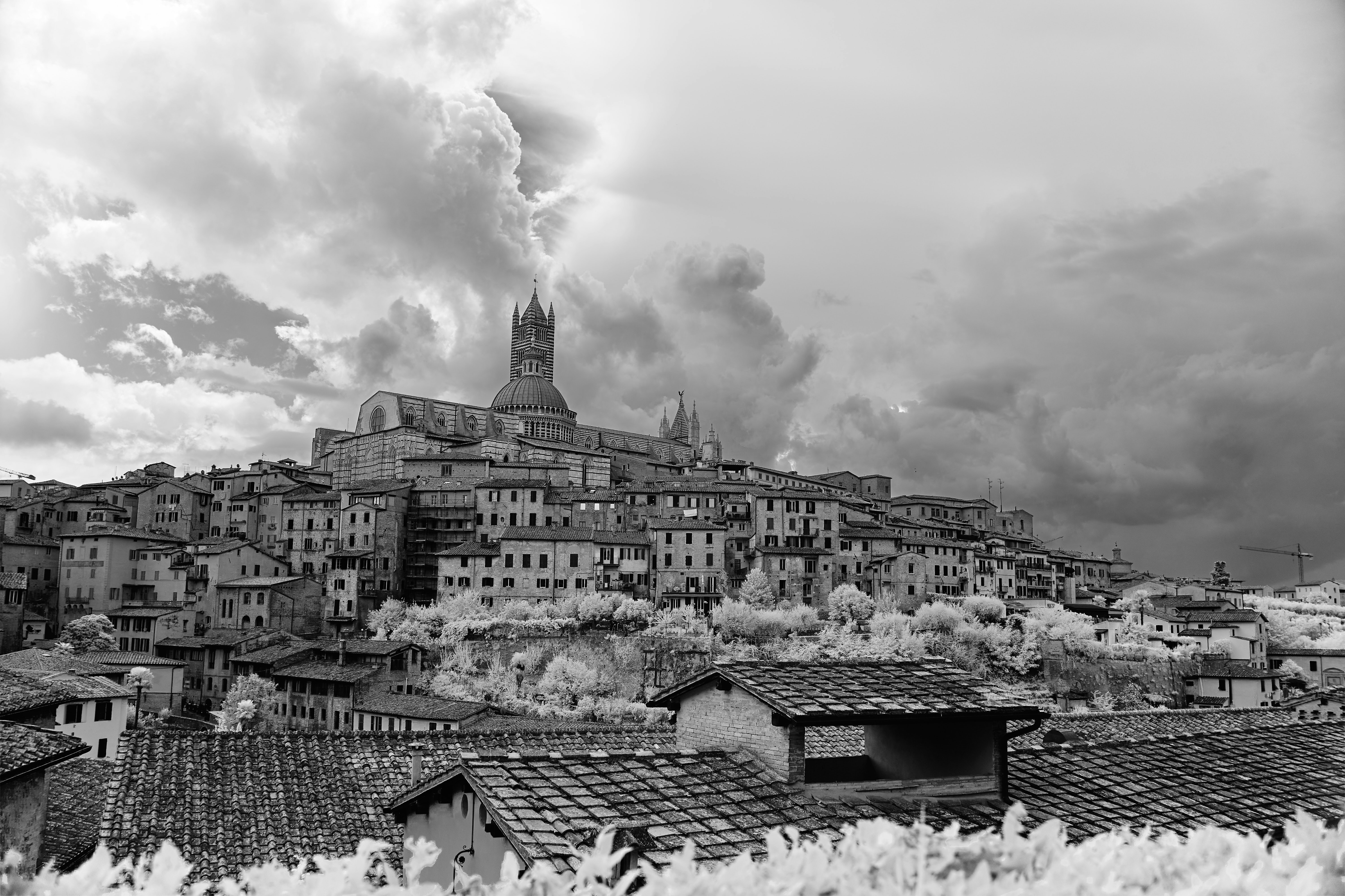 Photo by wolfgang_hasselmann