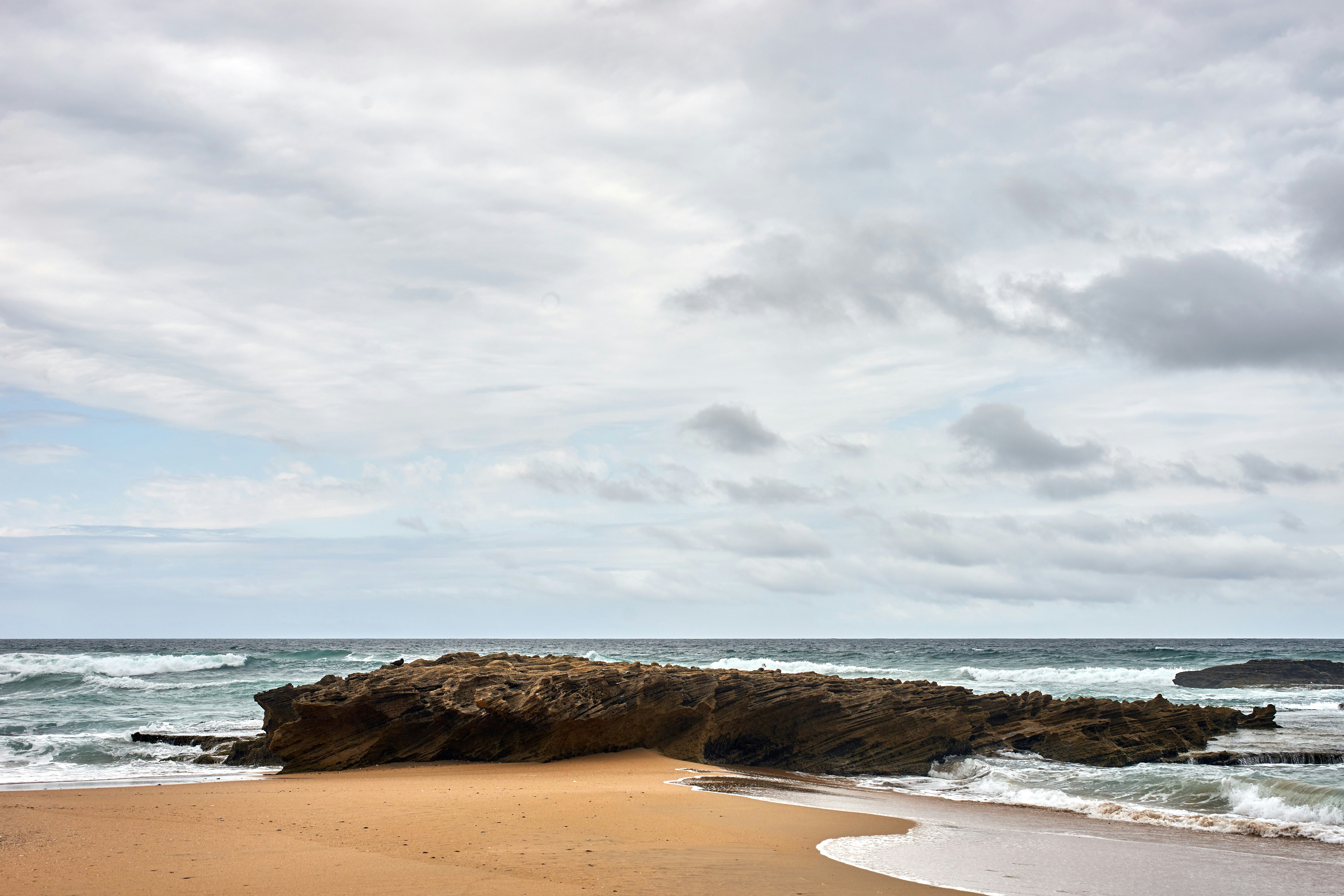 Photo by wolfgang_hasselmann