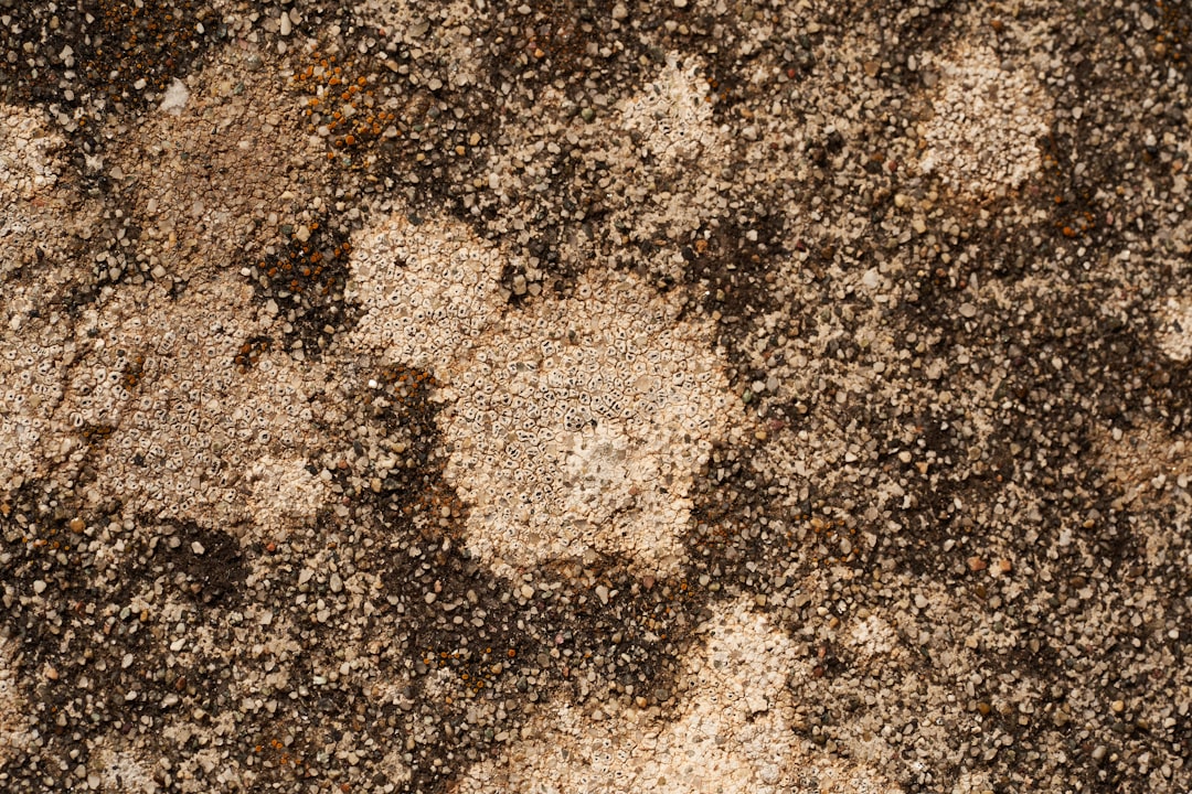 brown and black marble surface