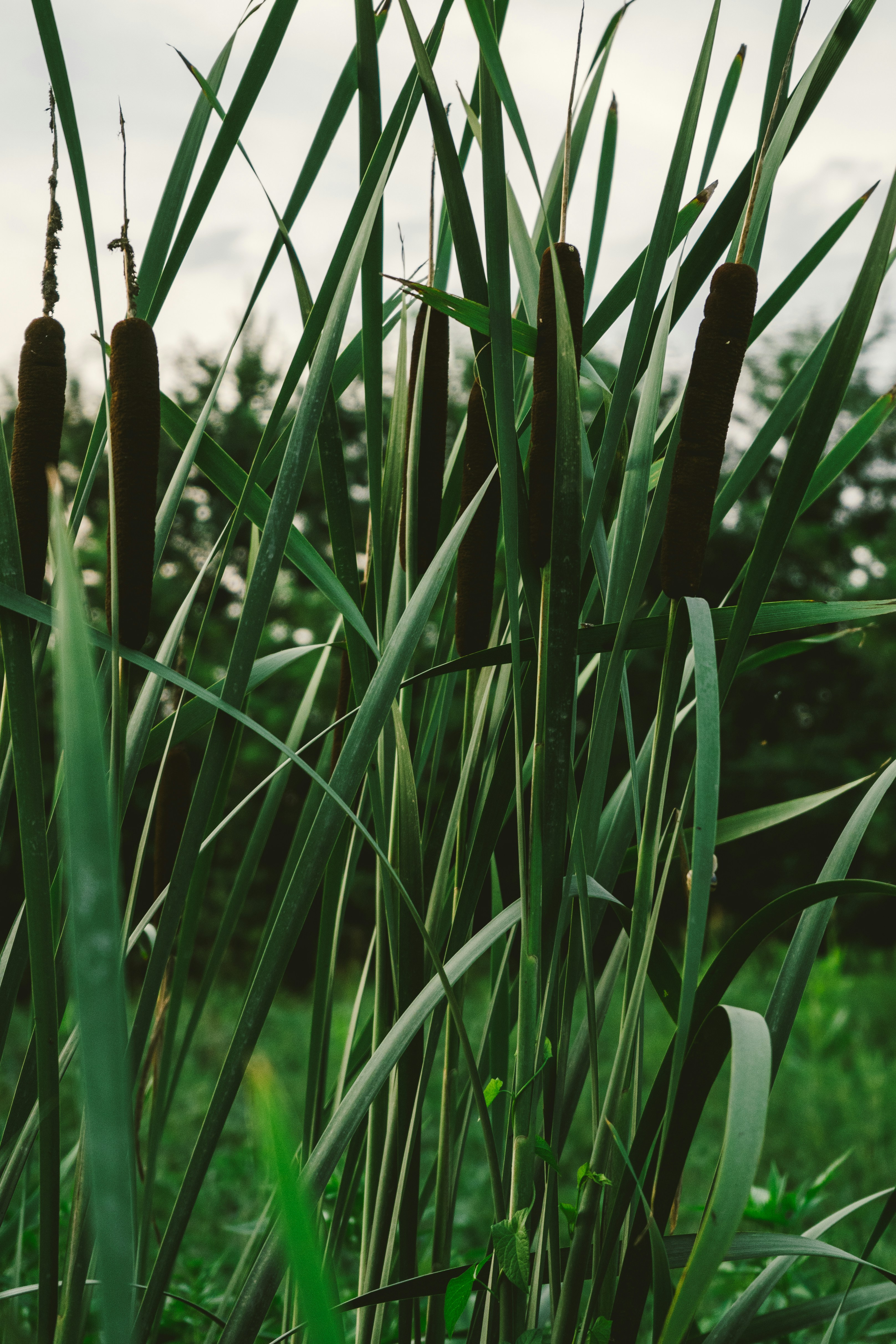 Photo by thestefankostic