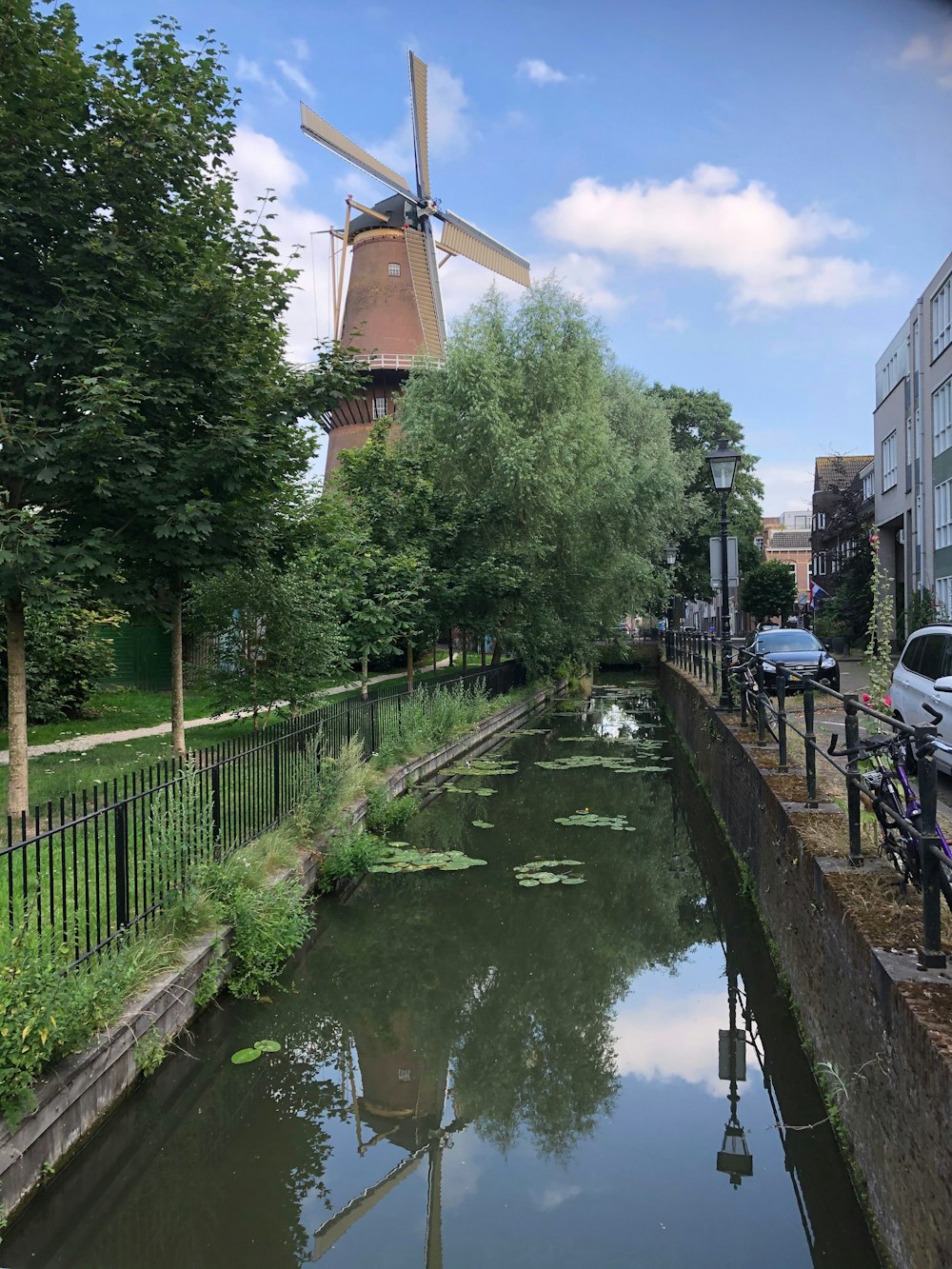 Grüne Bäume am Fluss während des Tages