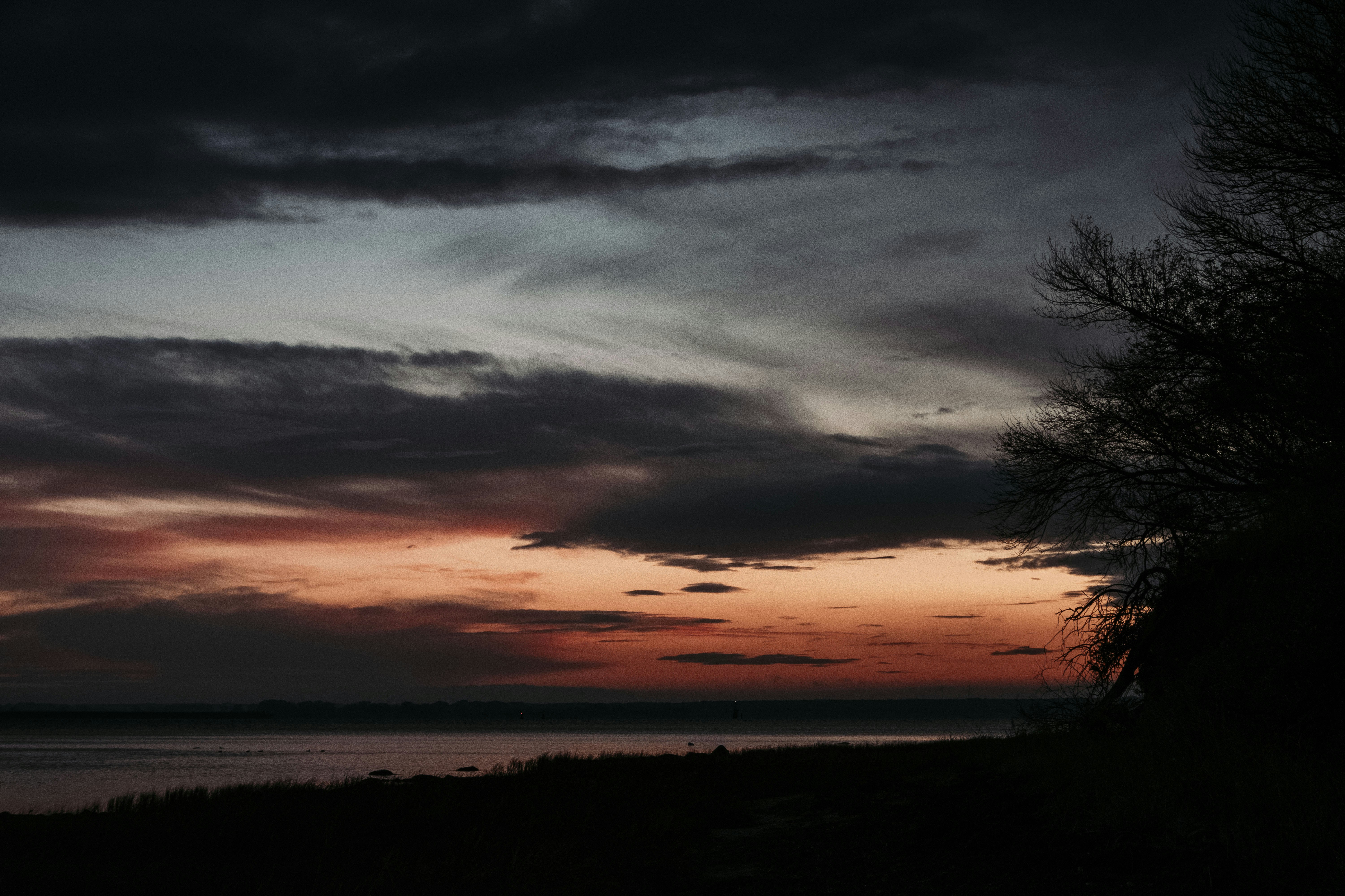 Photo by moritz_photography