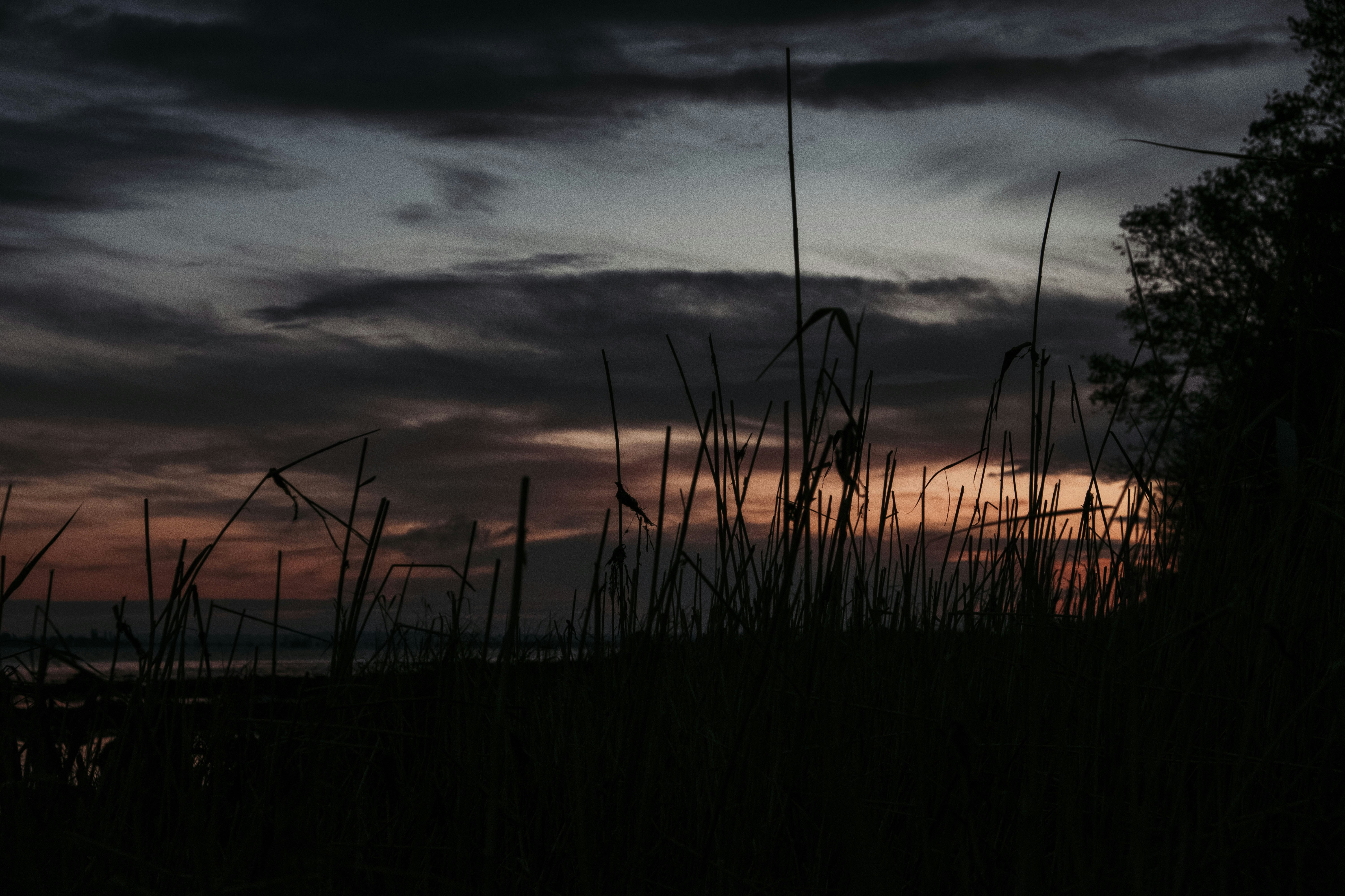 Photo by moritz_photography