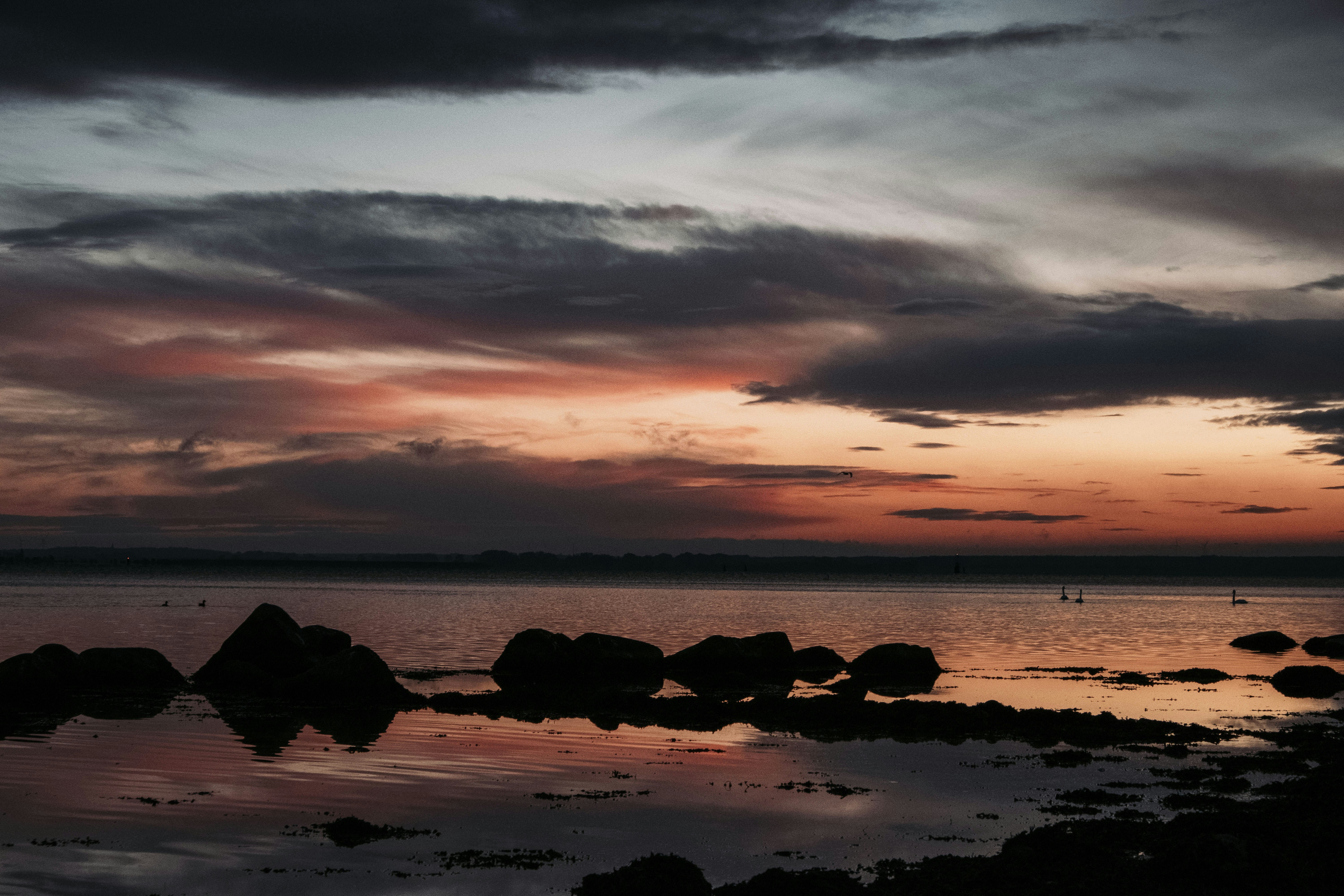 Photo by moritz_photography