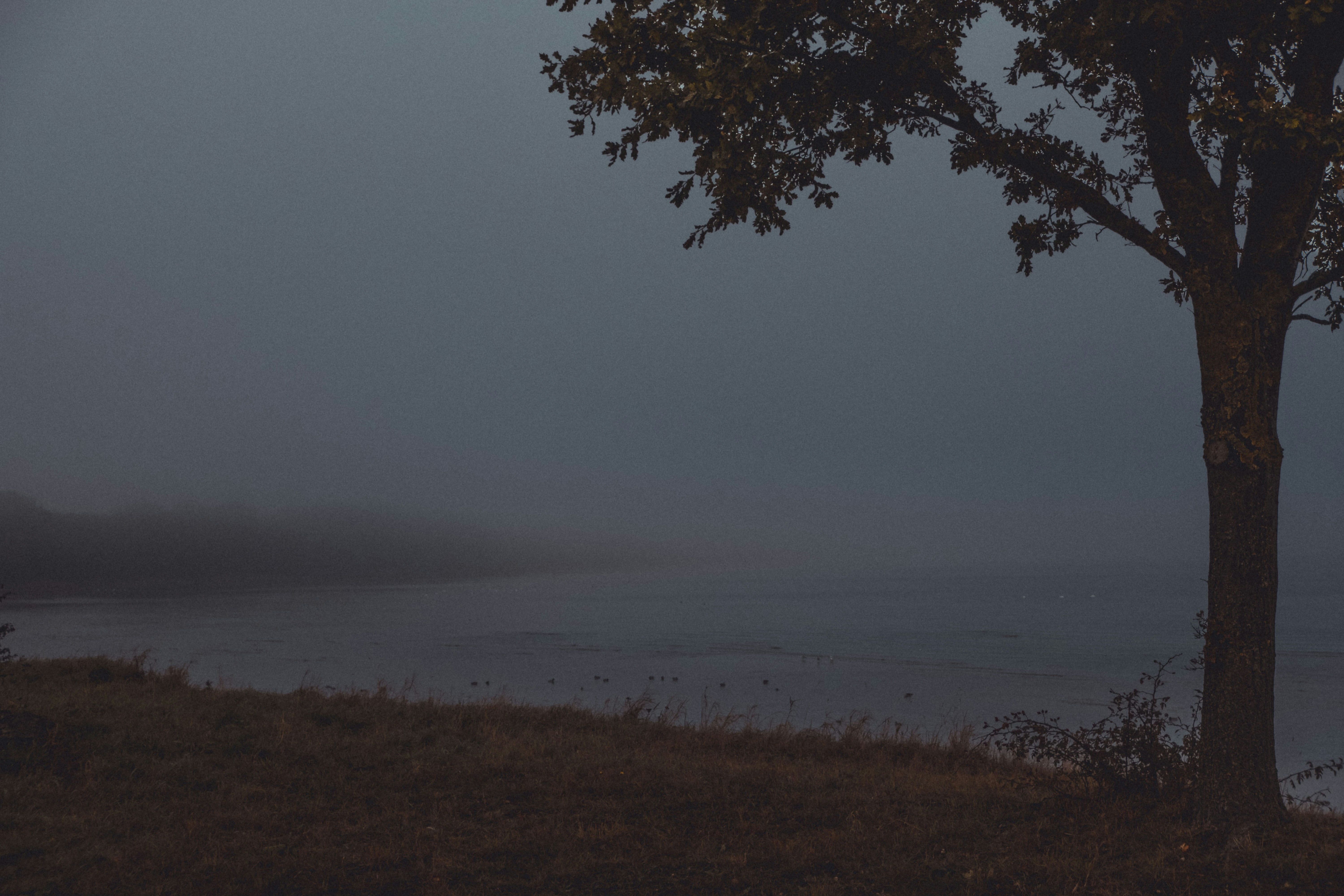 Photo by moritz_photography