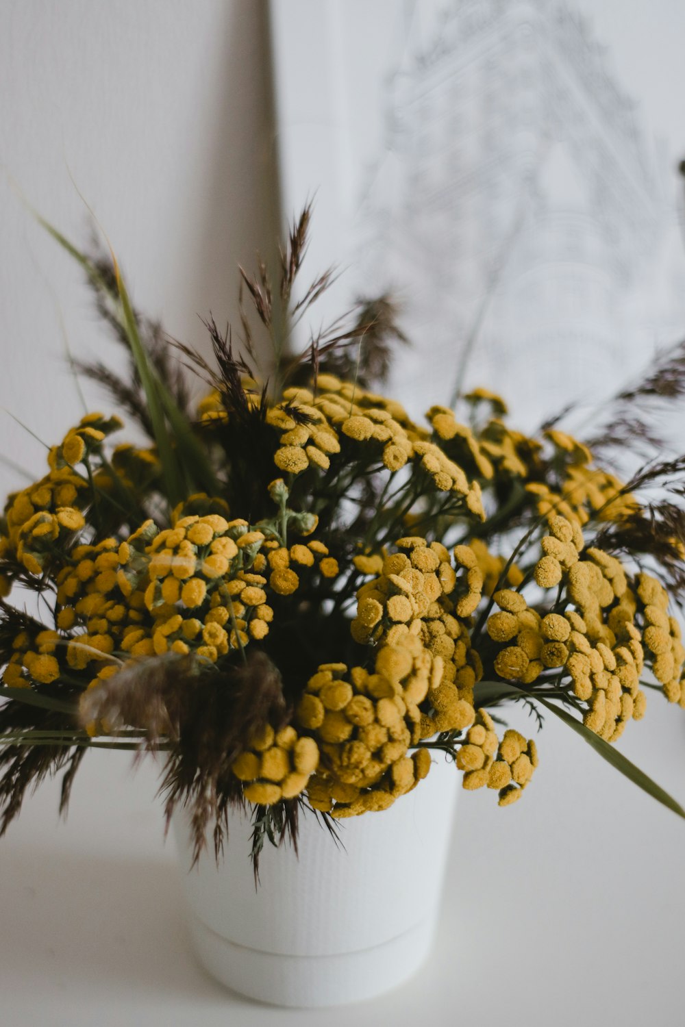 yellow flowers in tilt shift lens