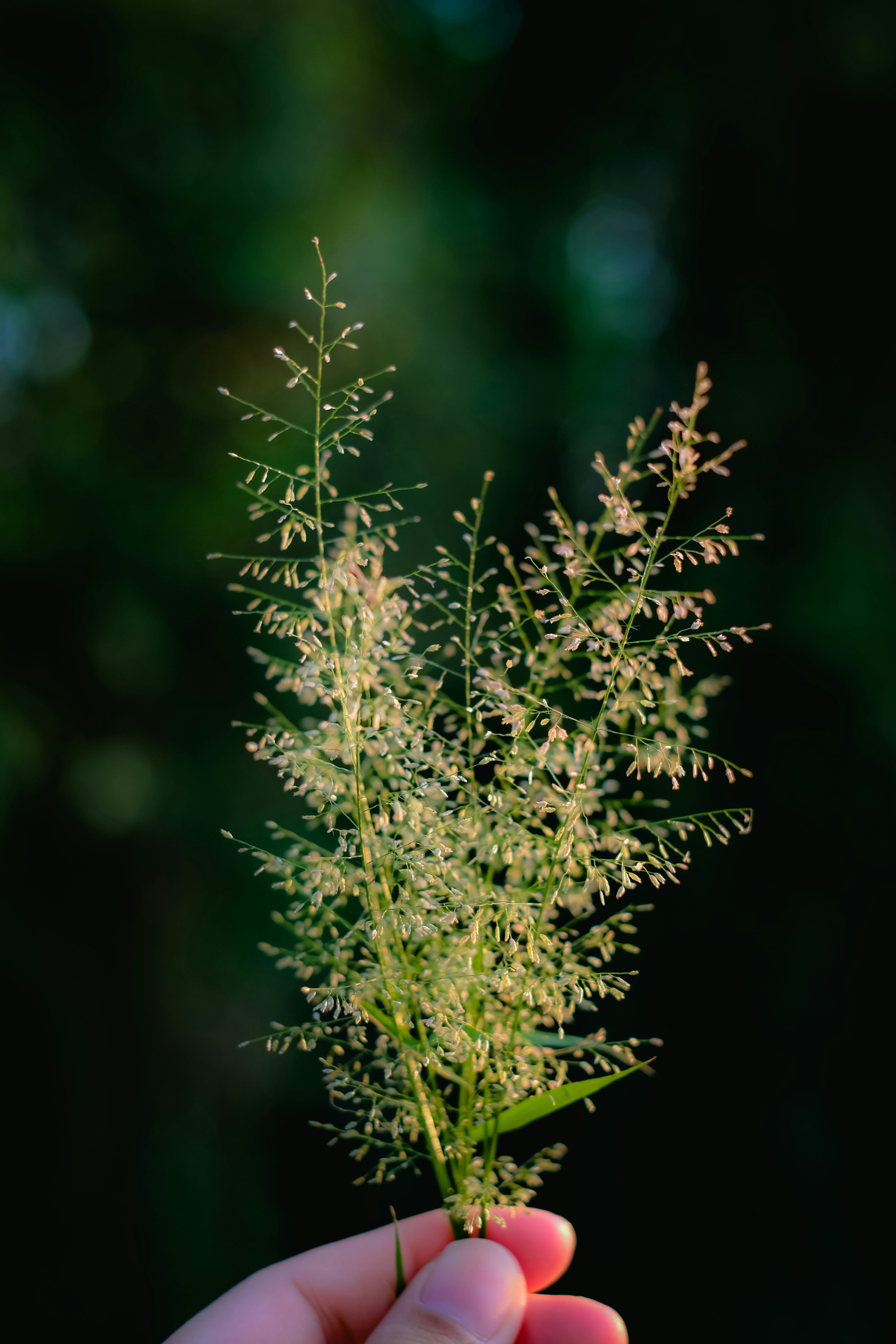 Photo by joulebennoy