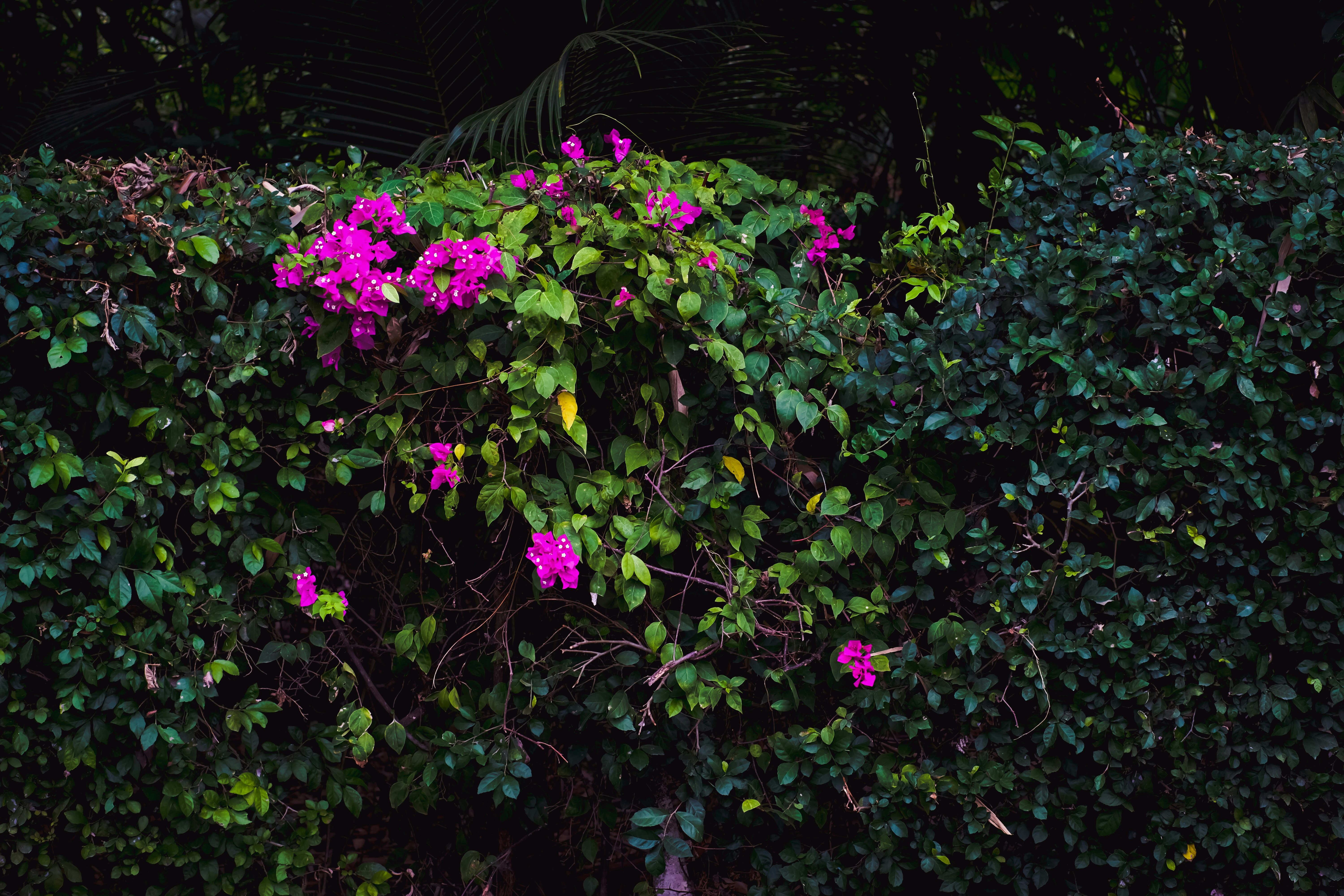 Photo by joulebennoy