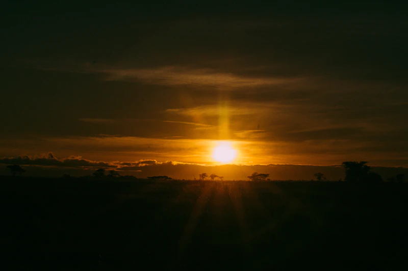 Sunrise breaking over the open Serengeti plains behind silhouetted acacias, Tanzania
