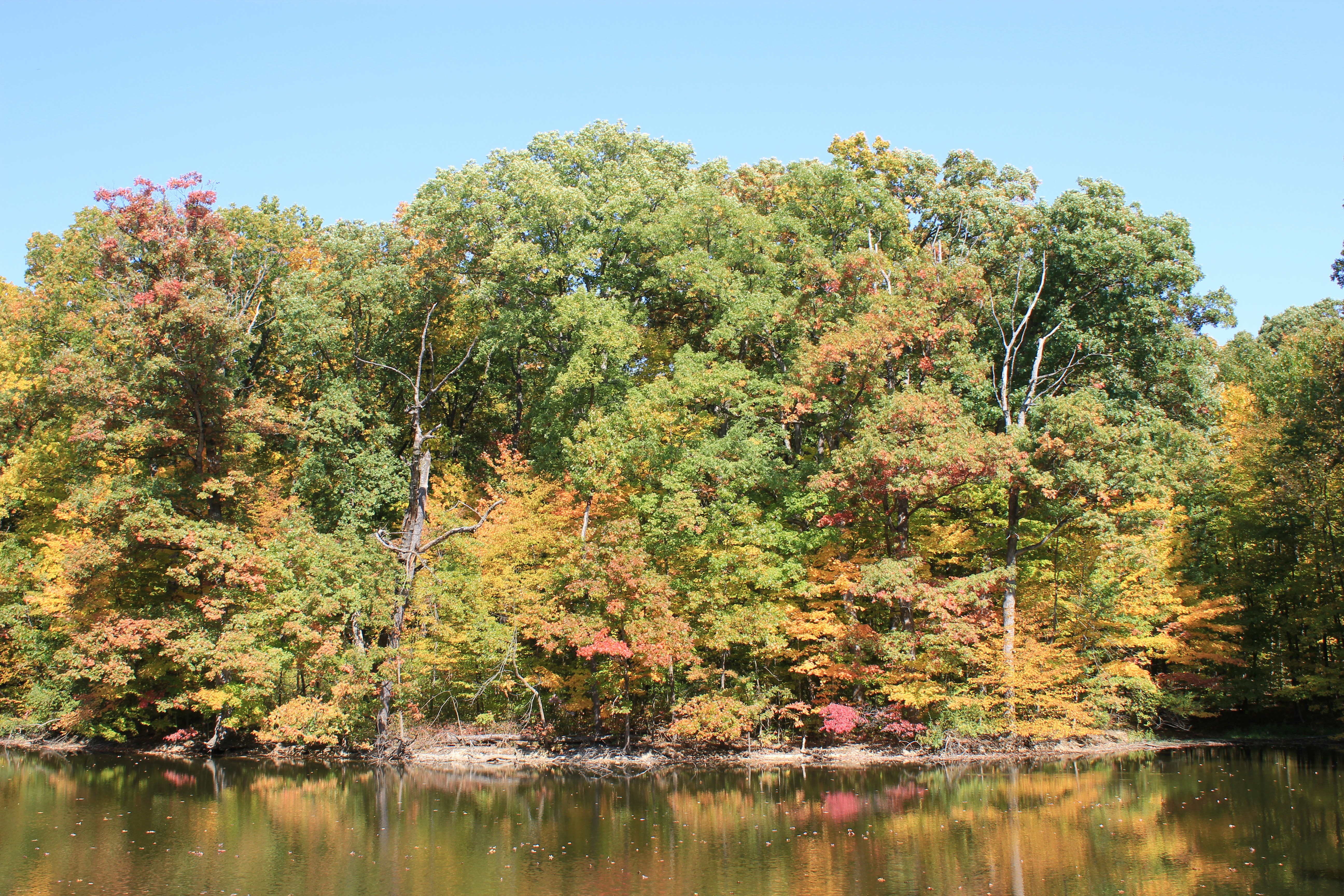 Photo by mrgreatheart