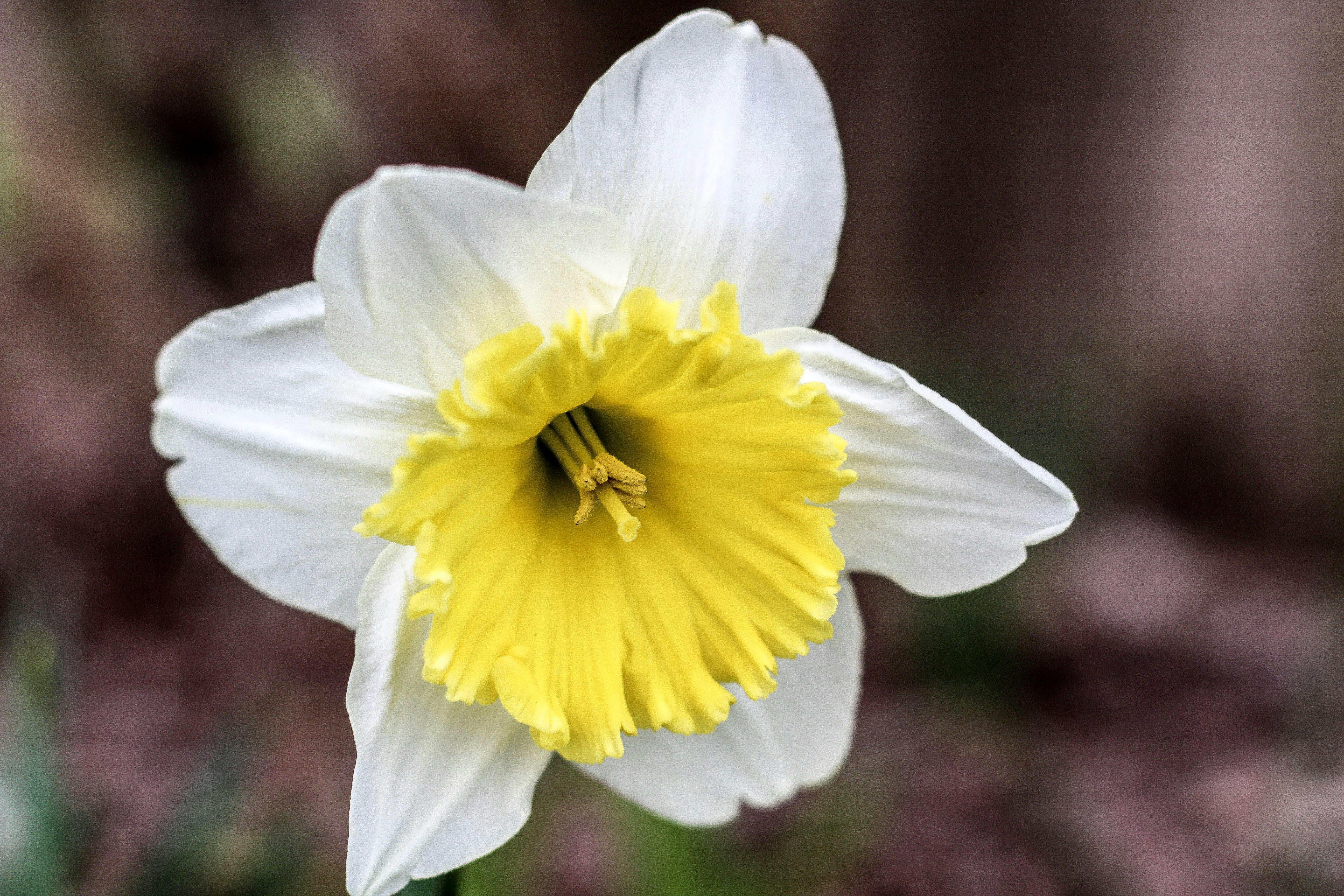 Photo by julesdickens