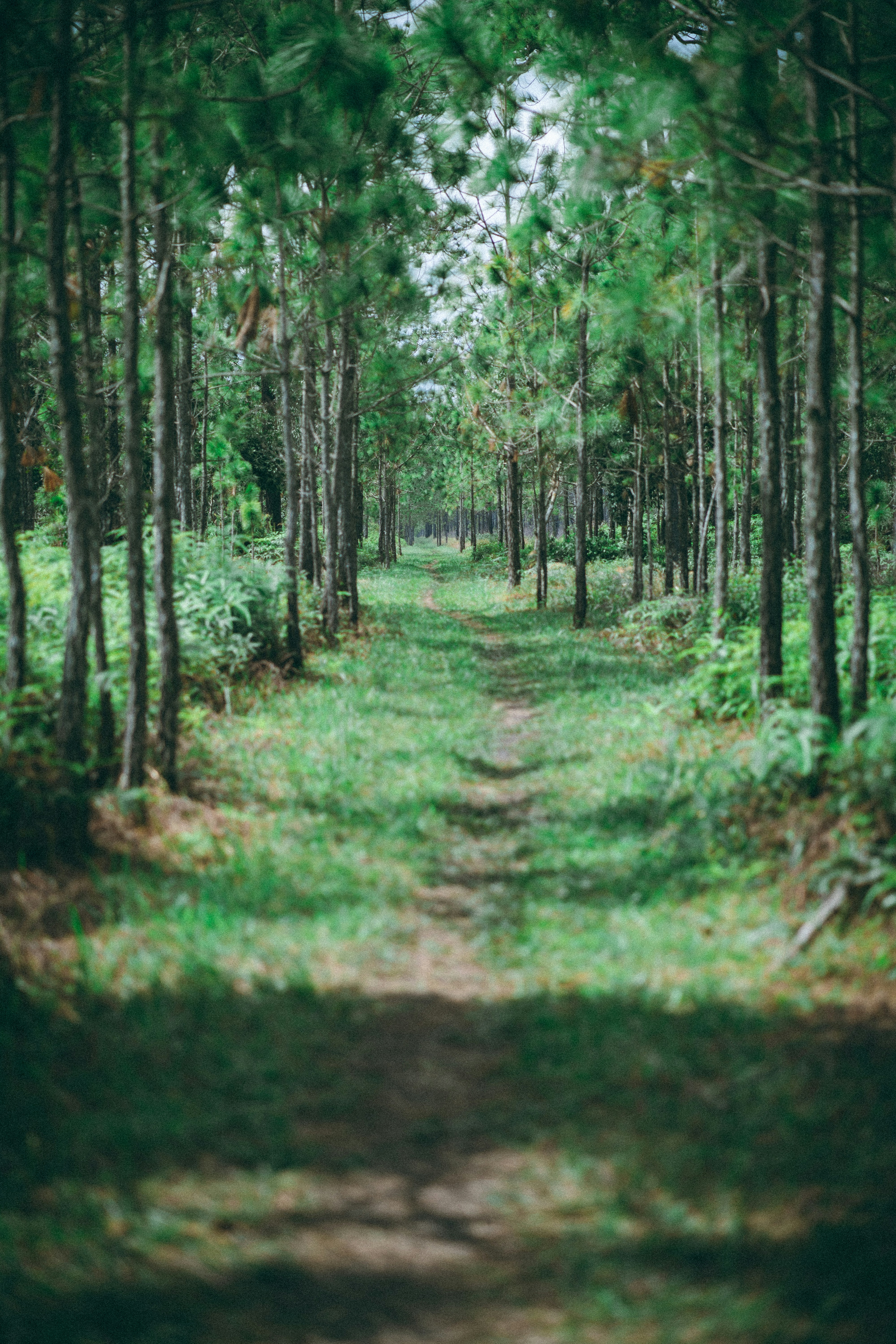 Photo by duckman1992