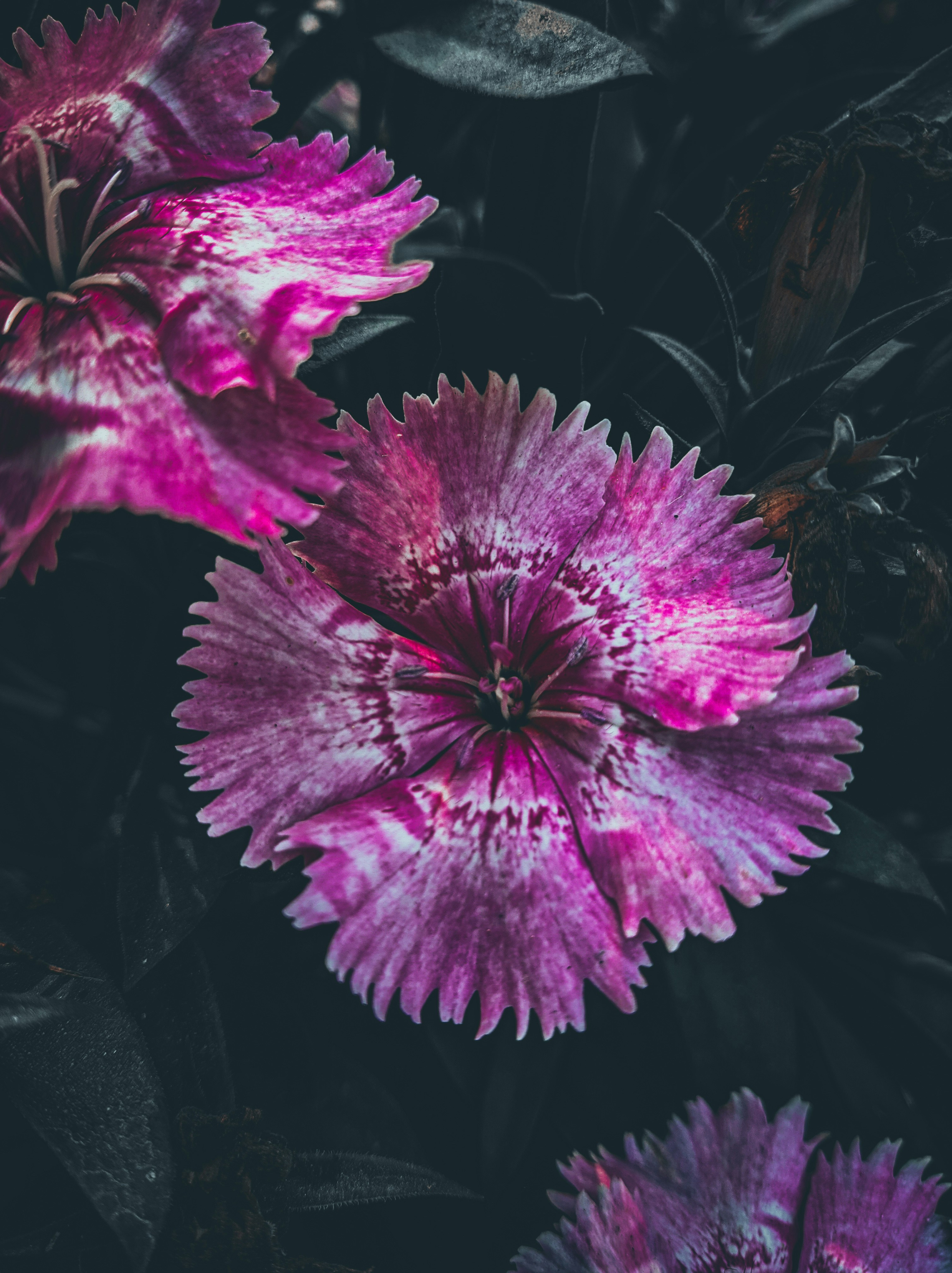 Photo by themirsuhail