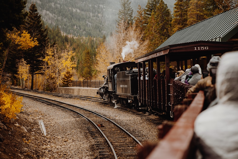 Train noir sur les voies ferrées près d’arbres verts pendant la journée