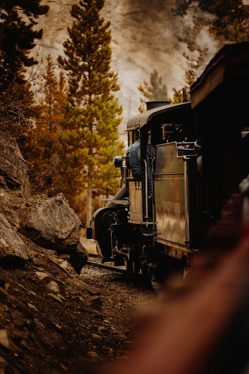 black train in the middle of the forest during daytime