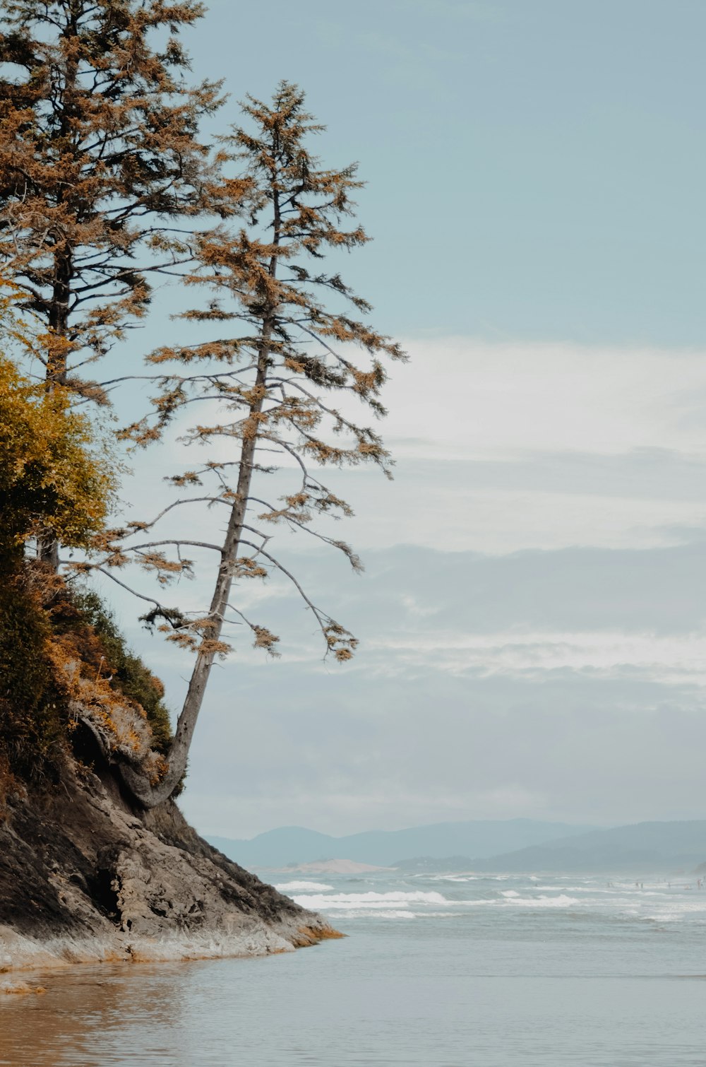 green tree on brown rock formation under white clouds during daytime