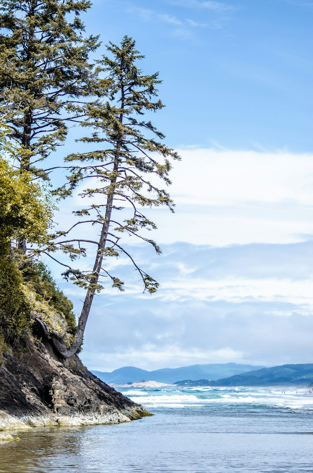 green tree on mountain under white clouds during daytime