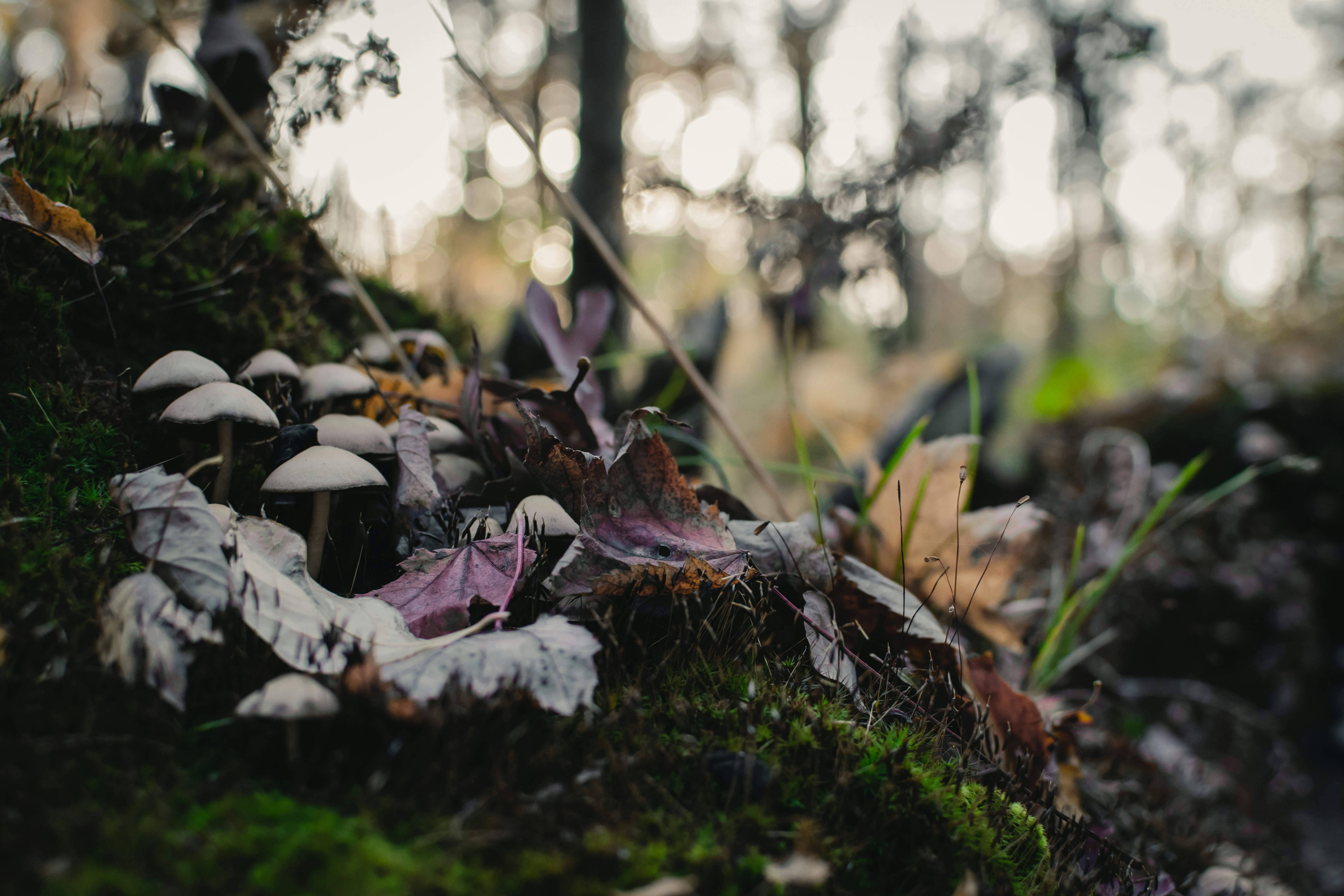 Photo by harrisonfitts