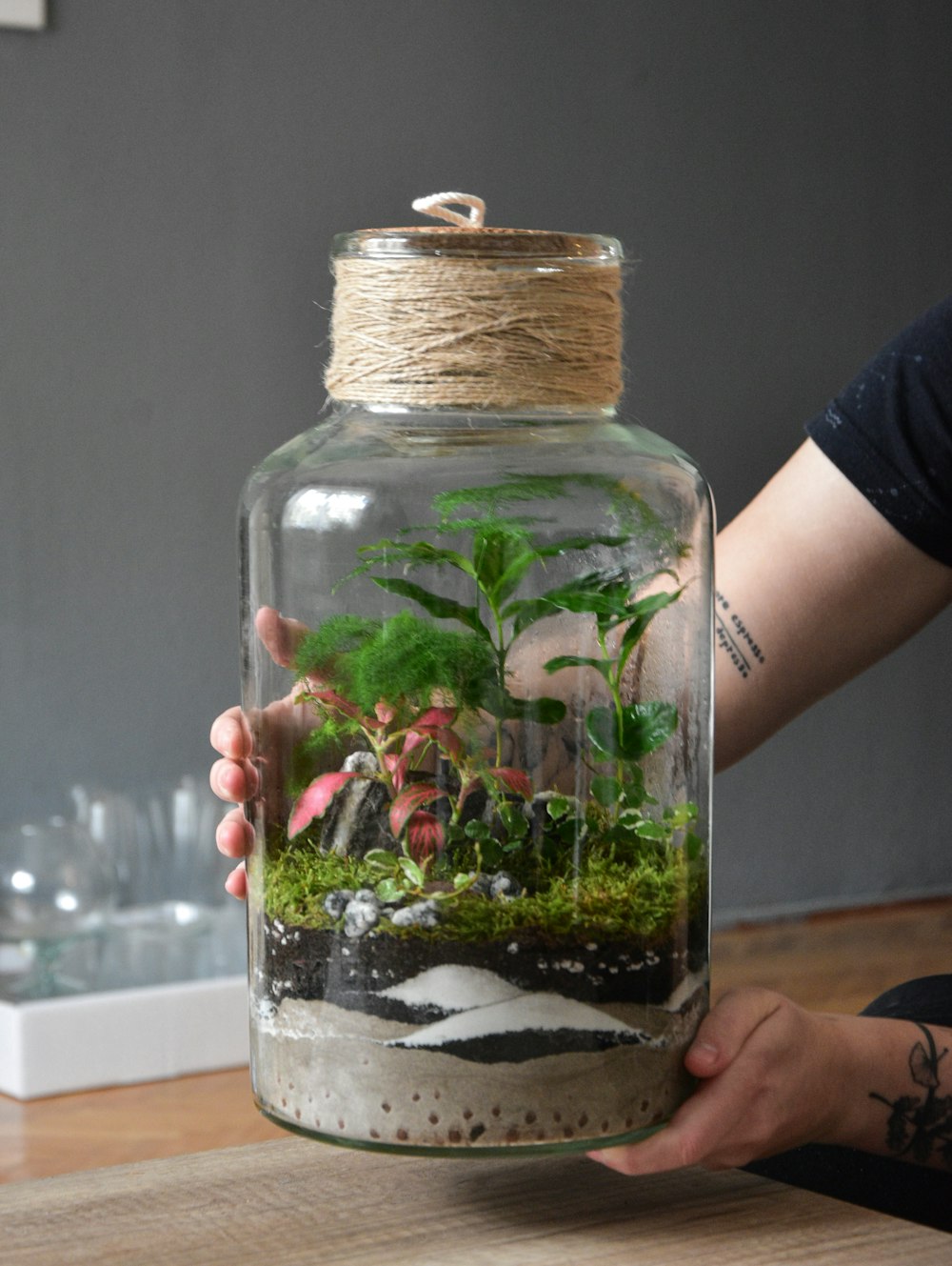 green and red plant in clear glass jar