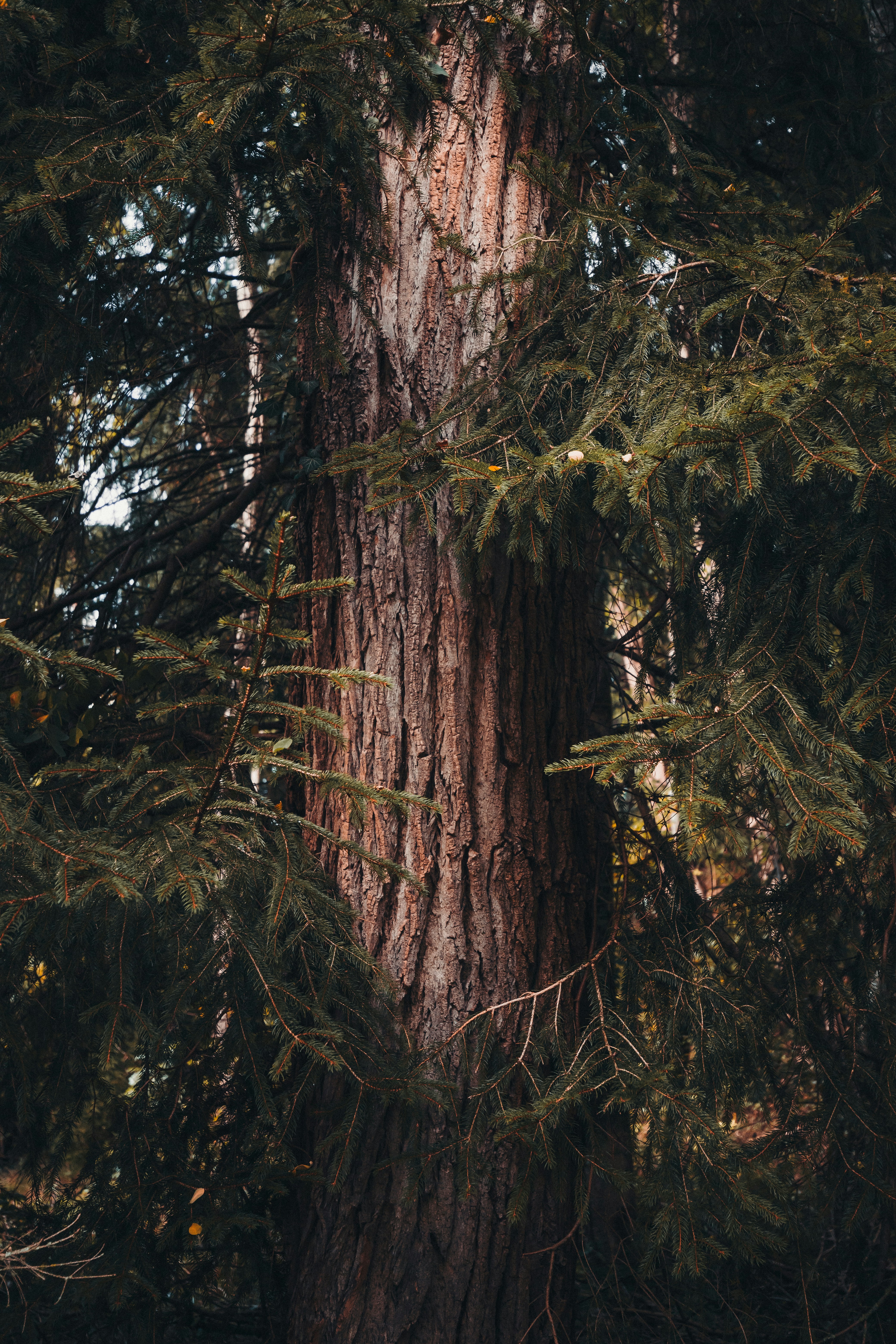 Photo by adamneumann