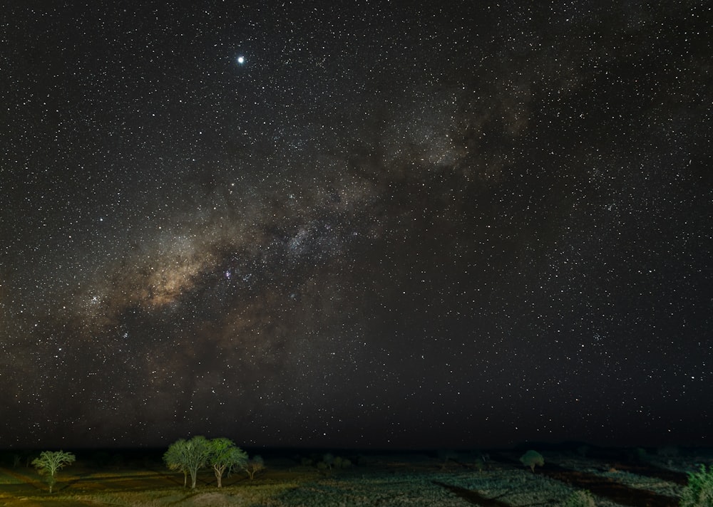 Champ d’herbe verte sous la nuit étoilée