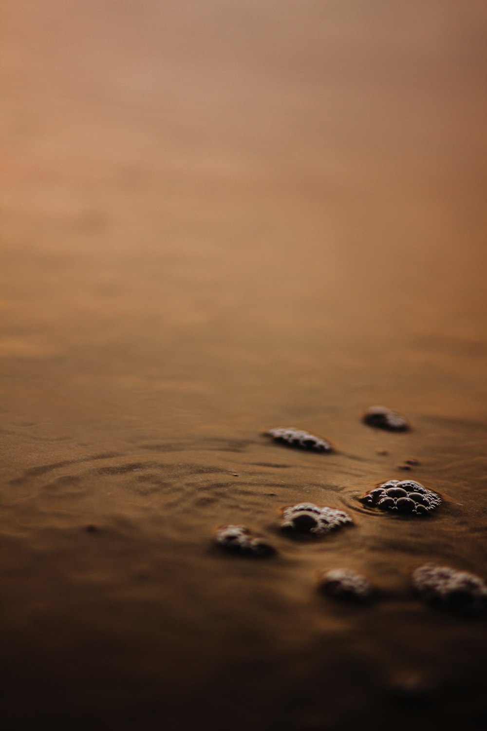 black and white stones on brown sand