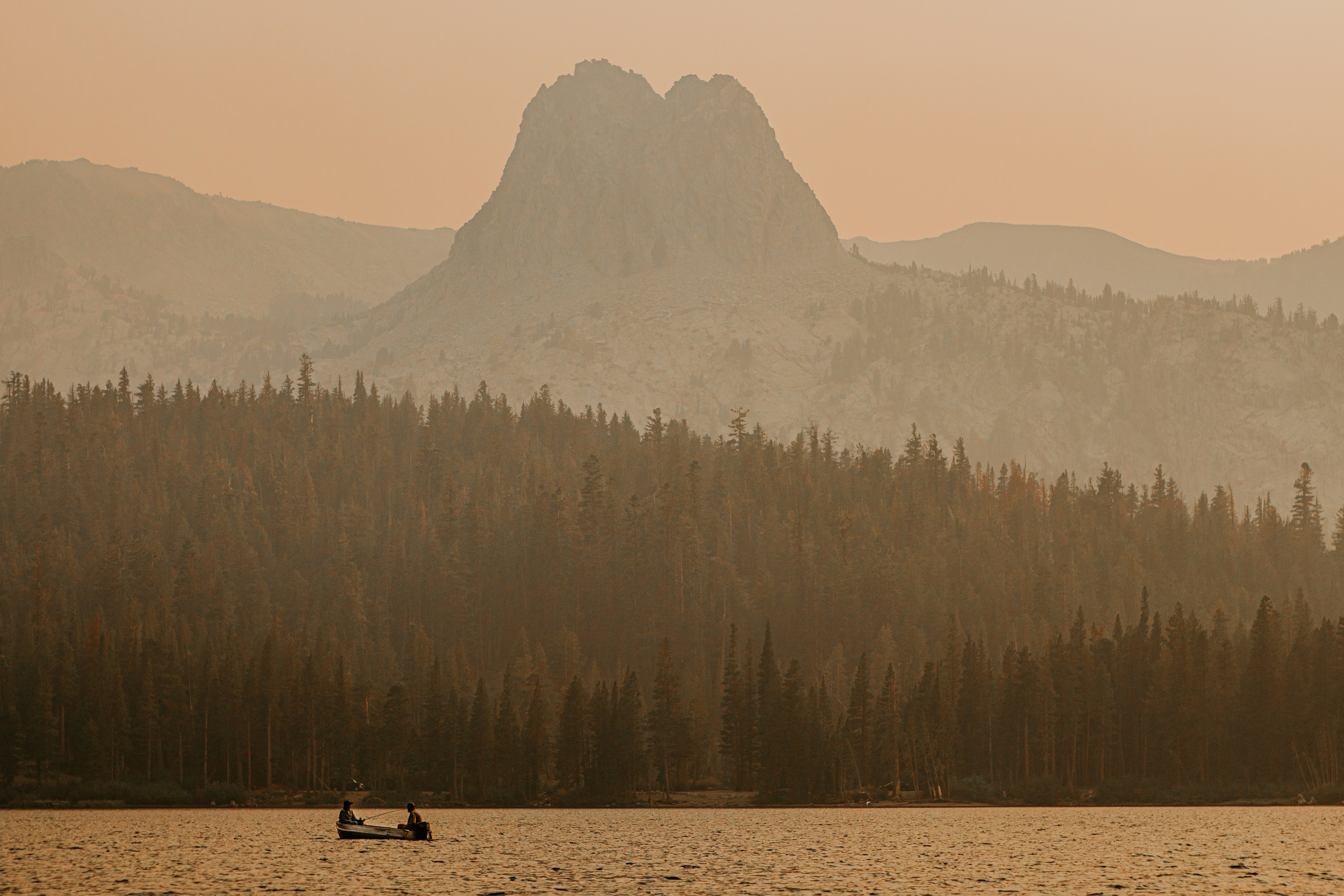 person riding horse on brown field during daytime