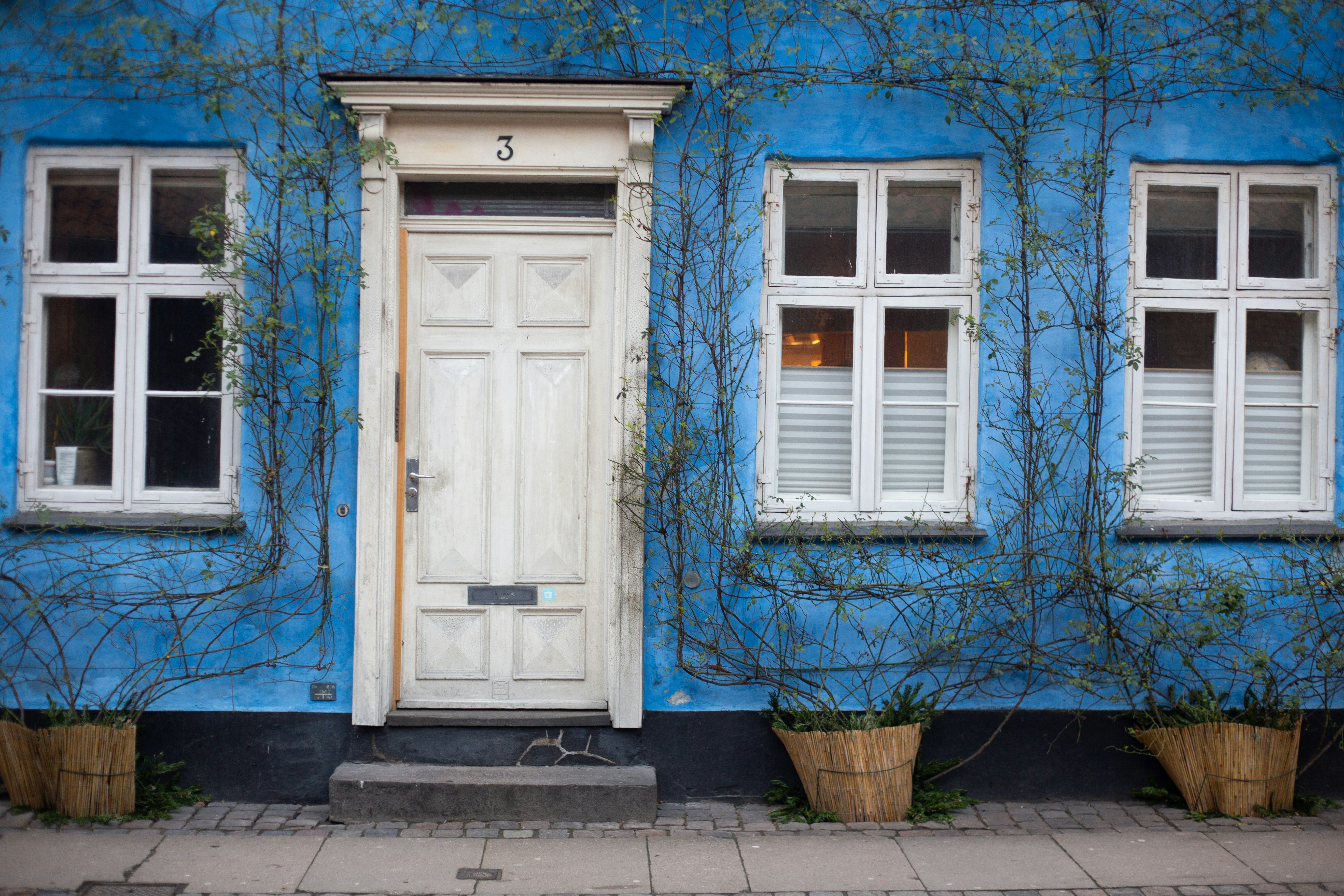 Photo by alisonstardust