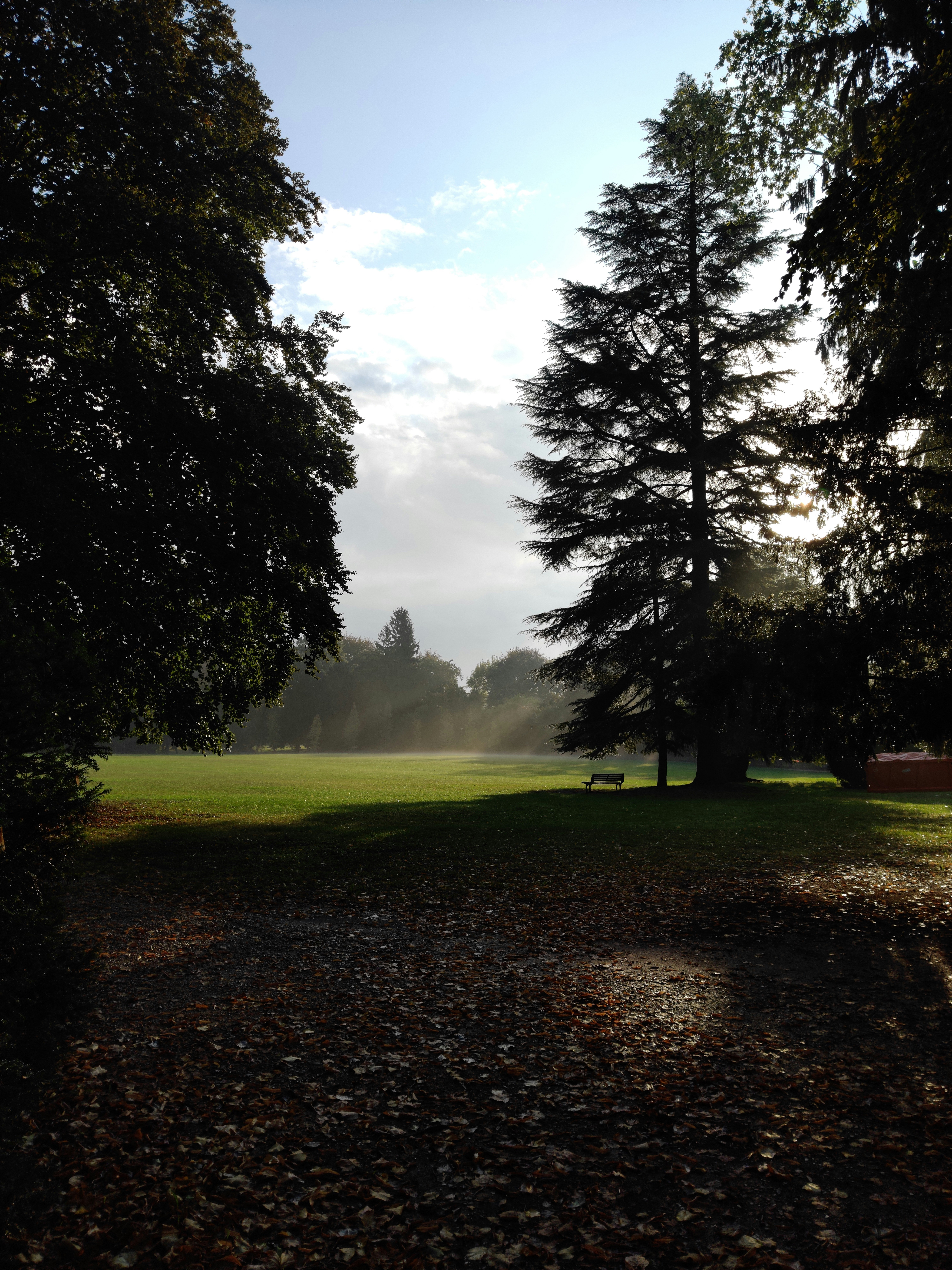 Photo by sandvinicus