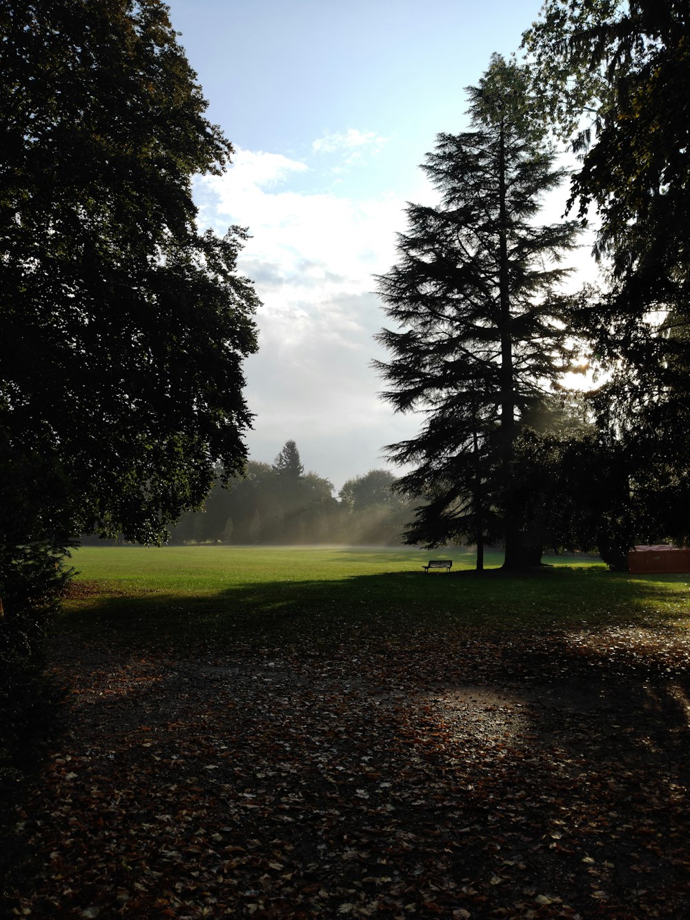 a grassy field with trees and a bench