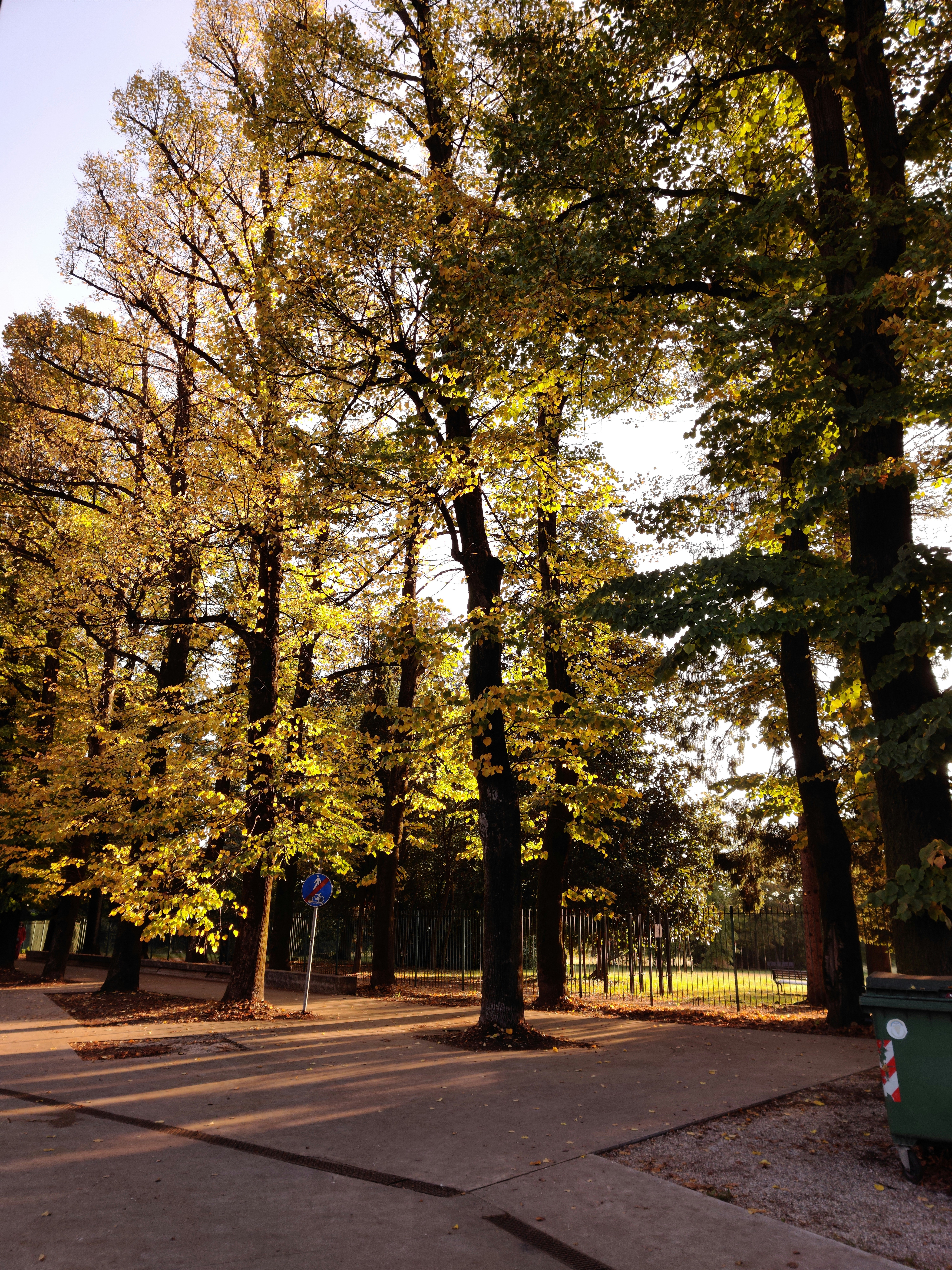 Photo by sandvinicus