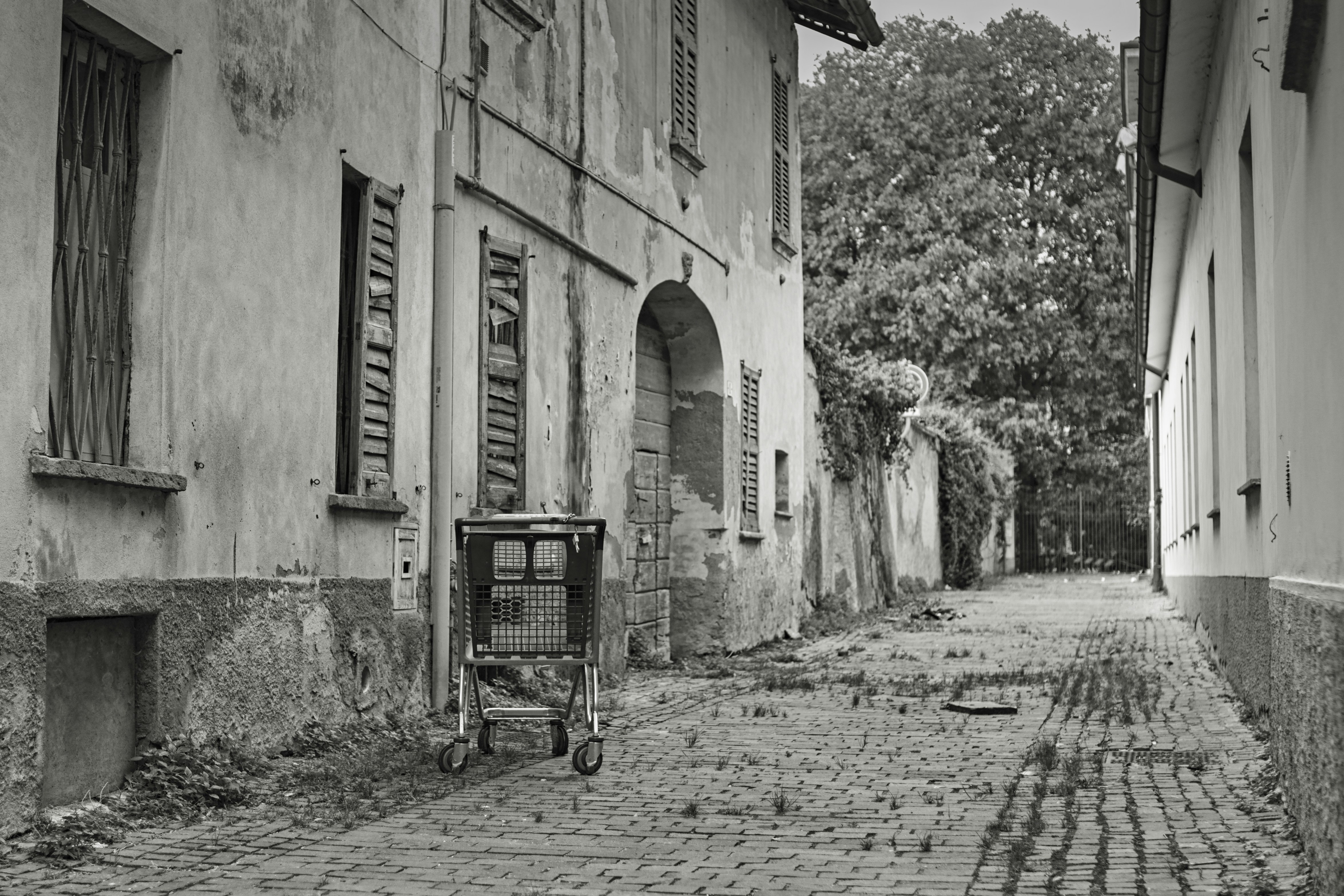 Photo by mickdepaola