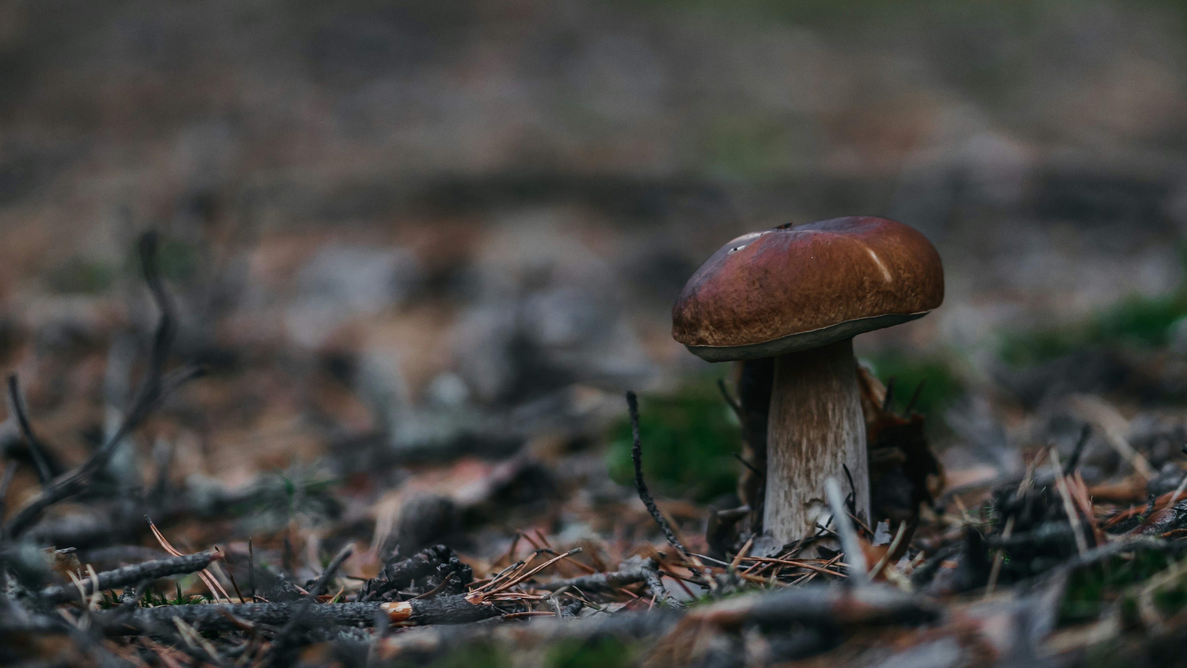 Photo by eugenechystiakov