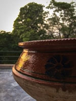 A large ceramic pot with decorative blue patterns is set against a lush, green backdrop. The intricate design on the pot's surface is highlighted by the warm lighting. In the background, foliage and trees are silhouetted against a bright sky.