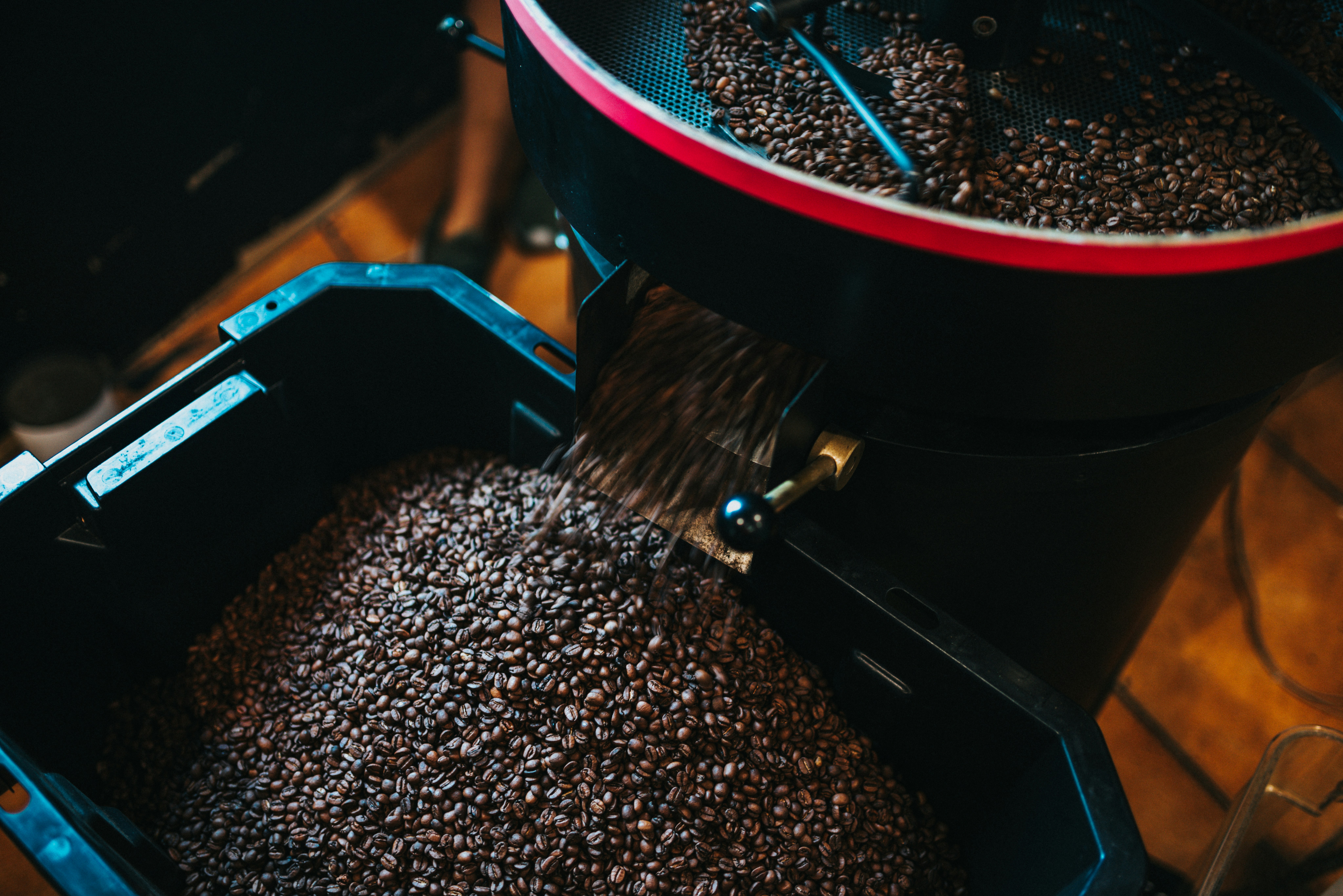 Photo by nate_dumlao