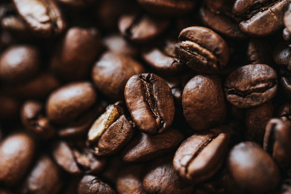 brown coffee beans in close up photography